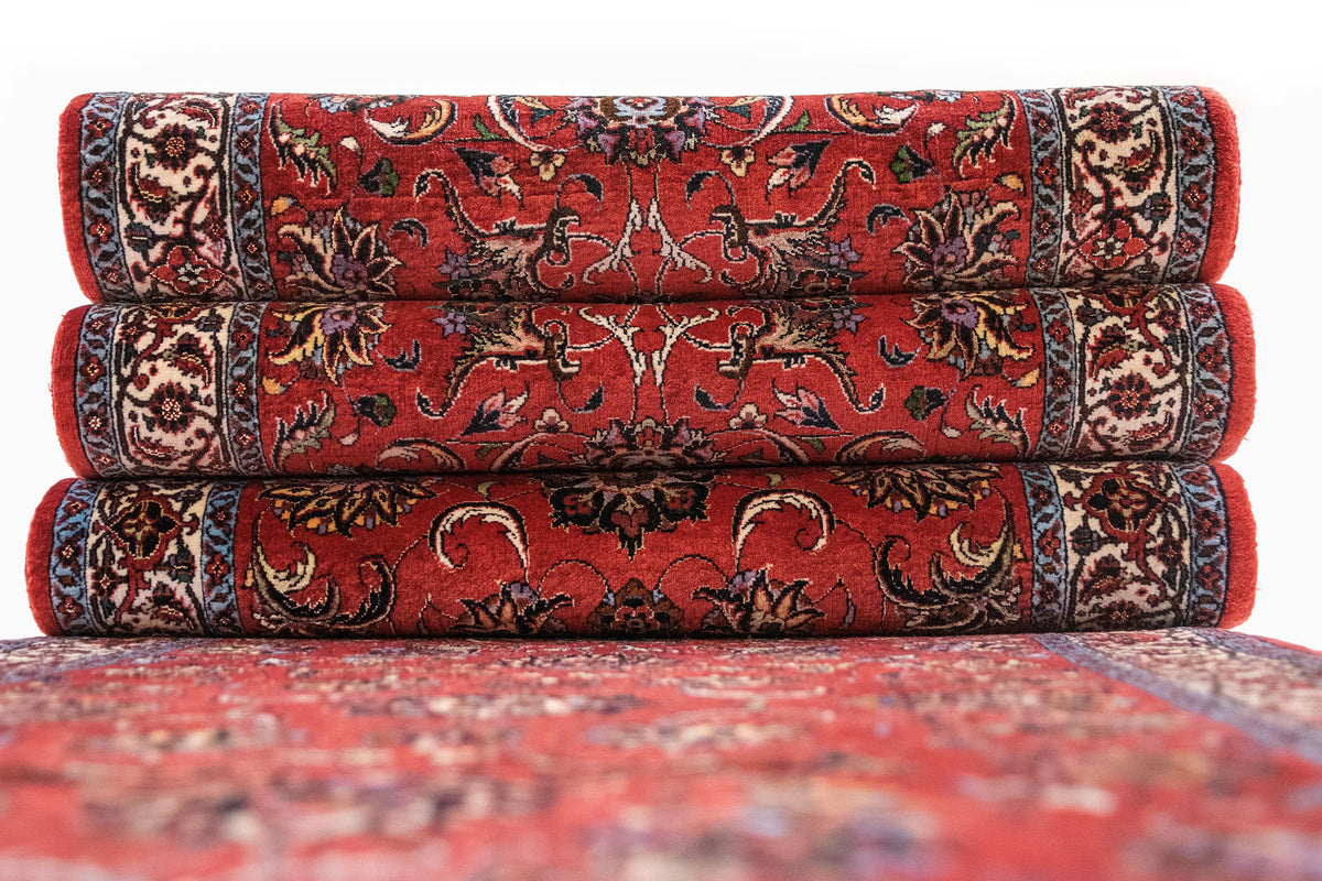 585 x 75 Bidjar