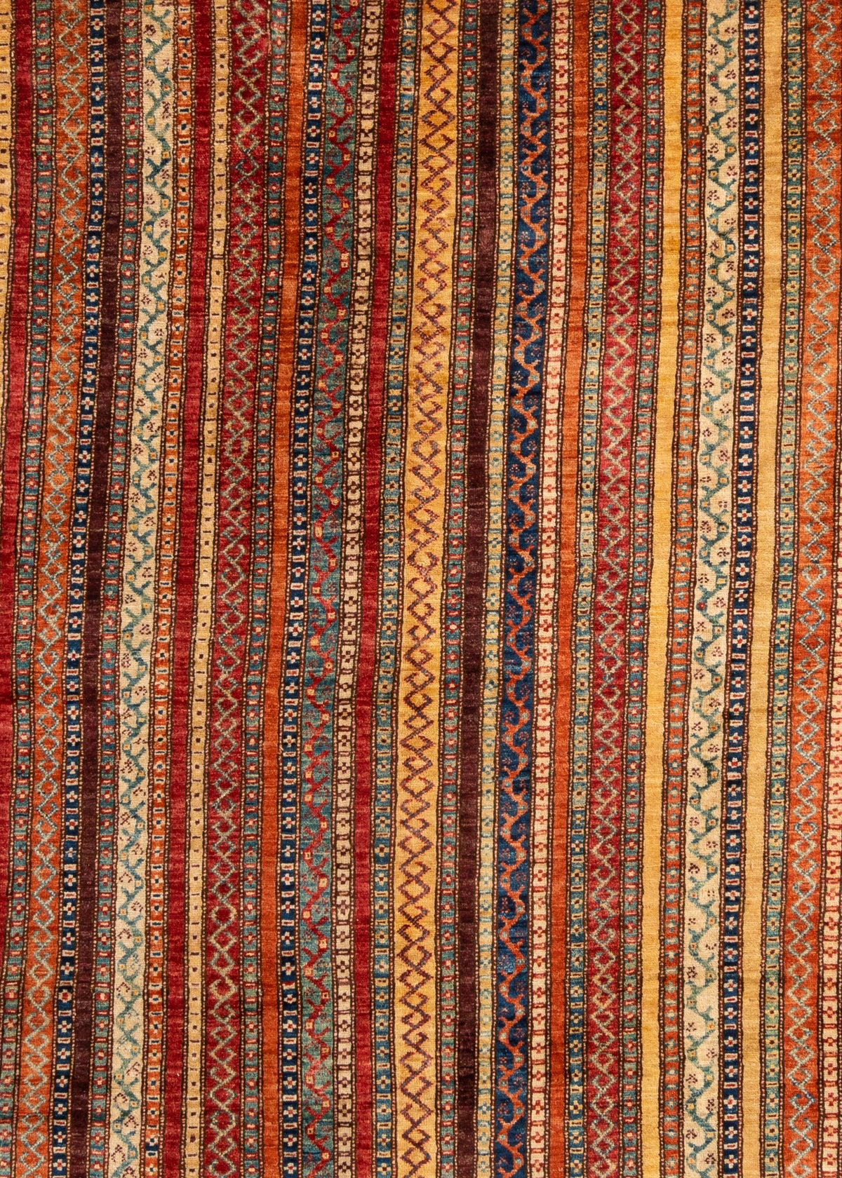 444 x 358 Torkman