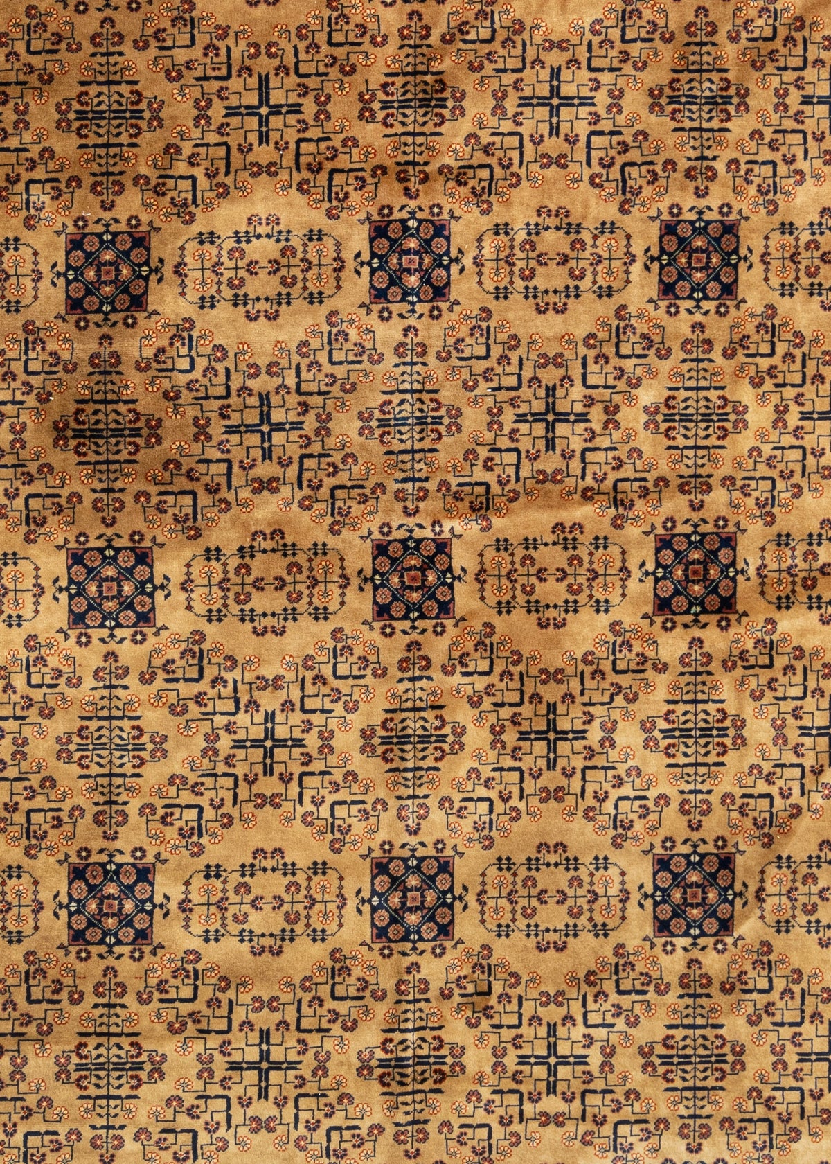 595x403 Afghan