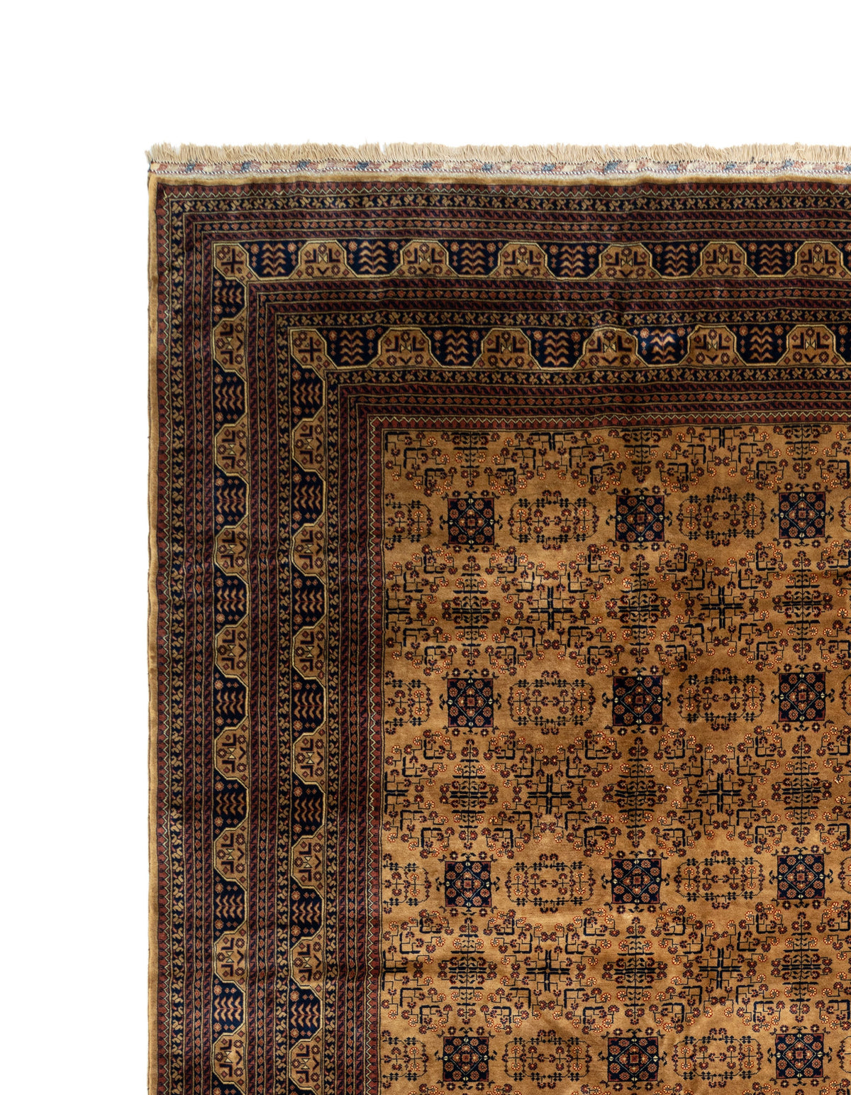 595x403 Afghan