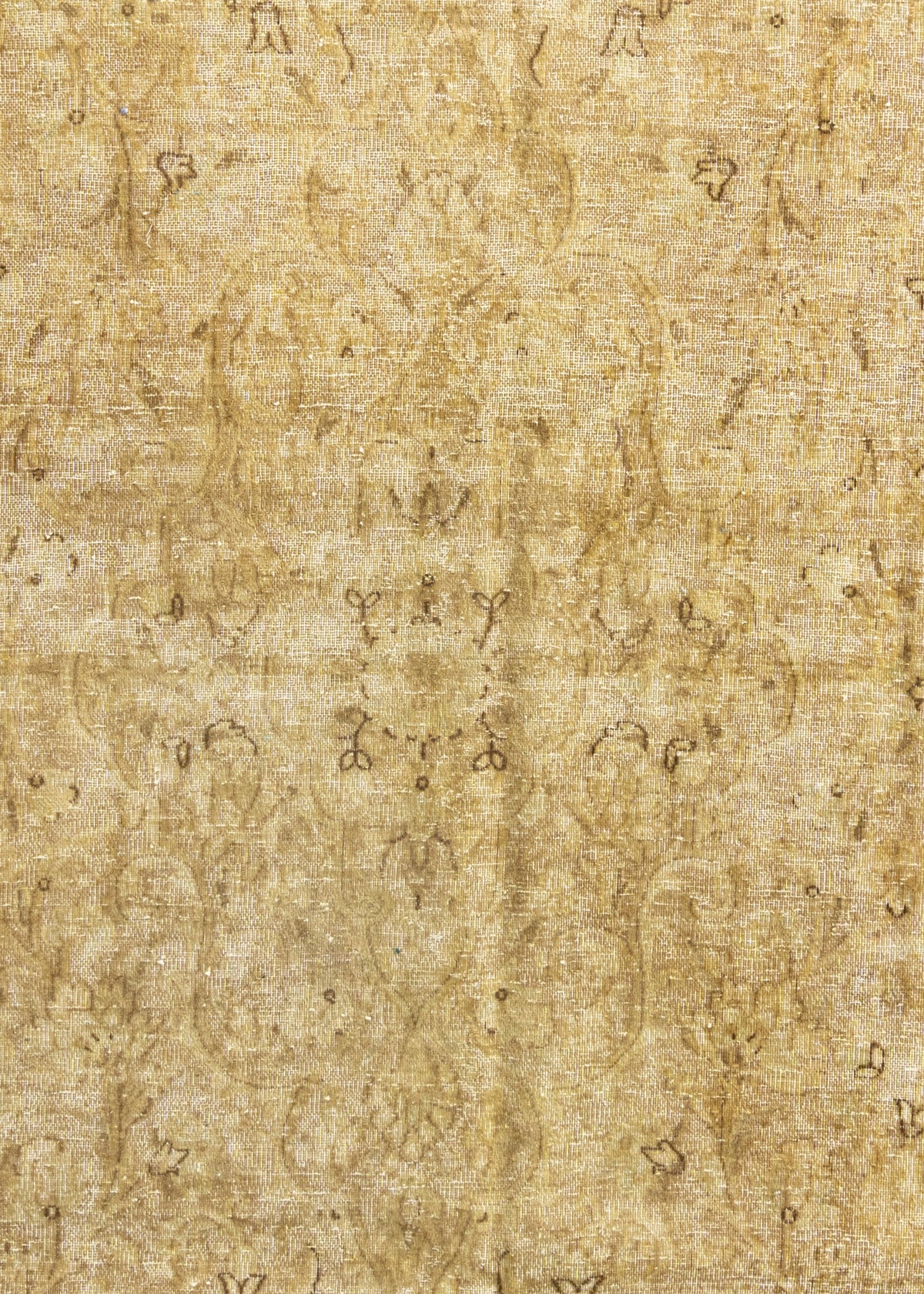 386x288 Vintage Royal