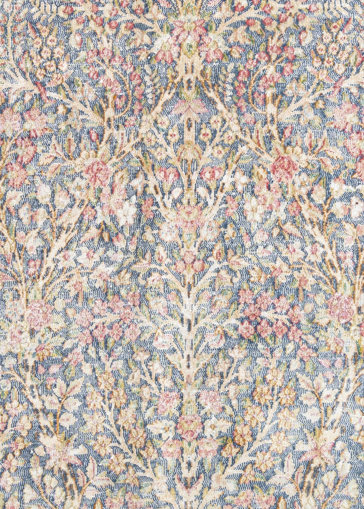 294 x 171 Vintage Royal
