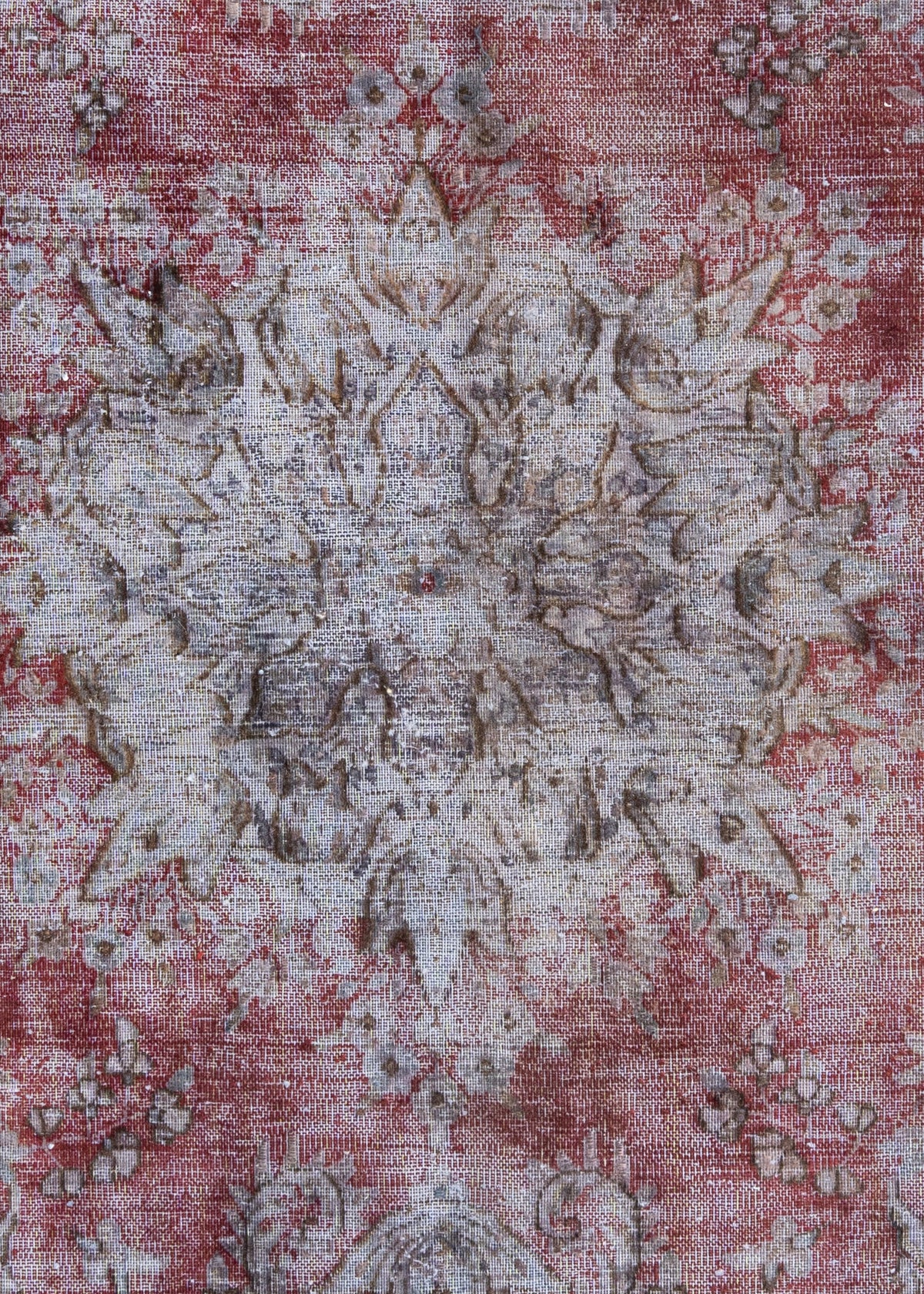 338x255 Vintage Royal