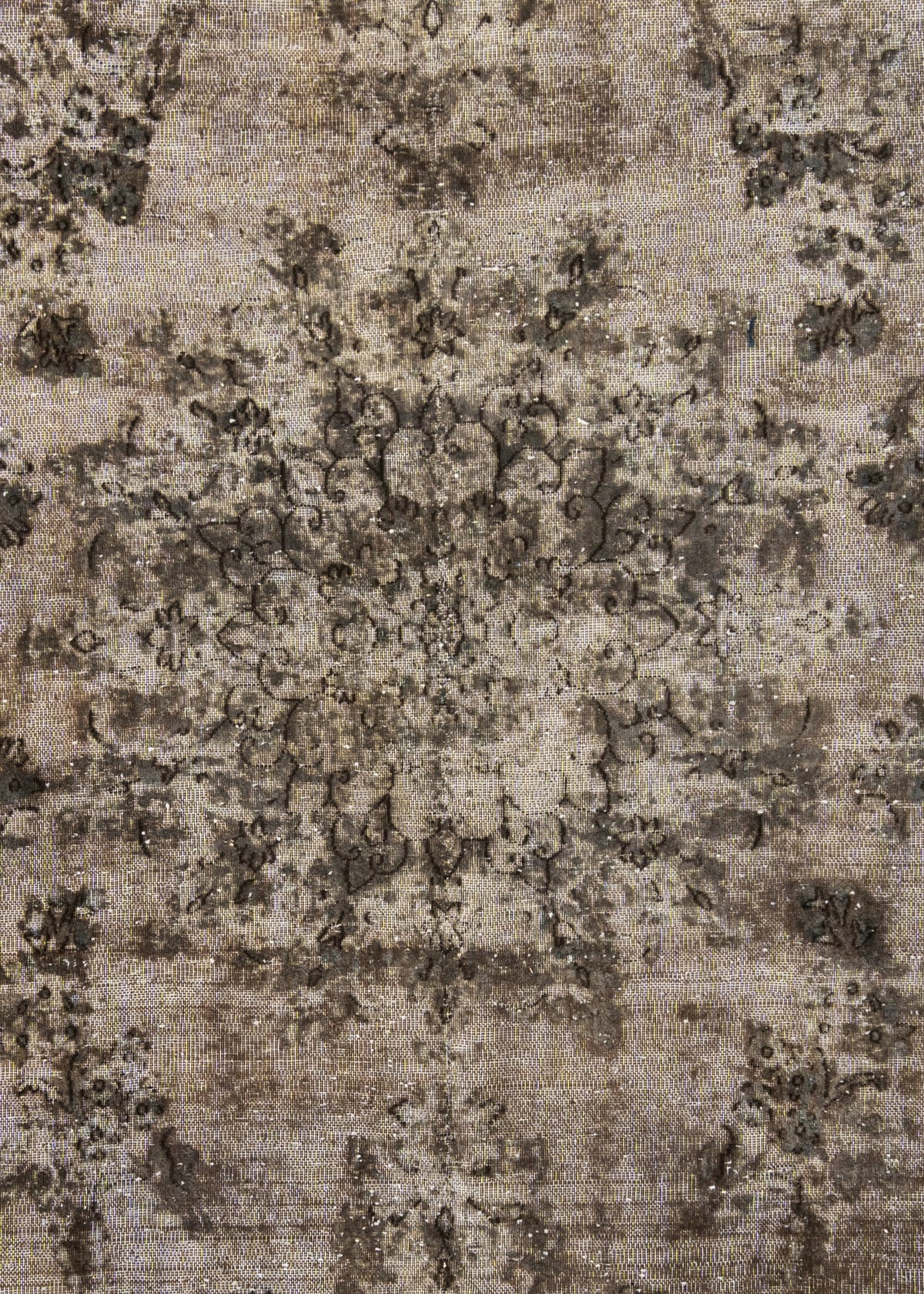 364 x 236 Vintage Royal