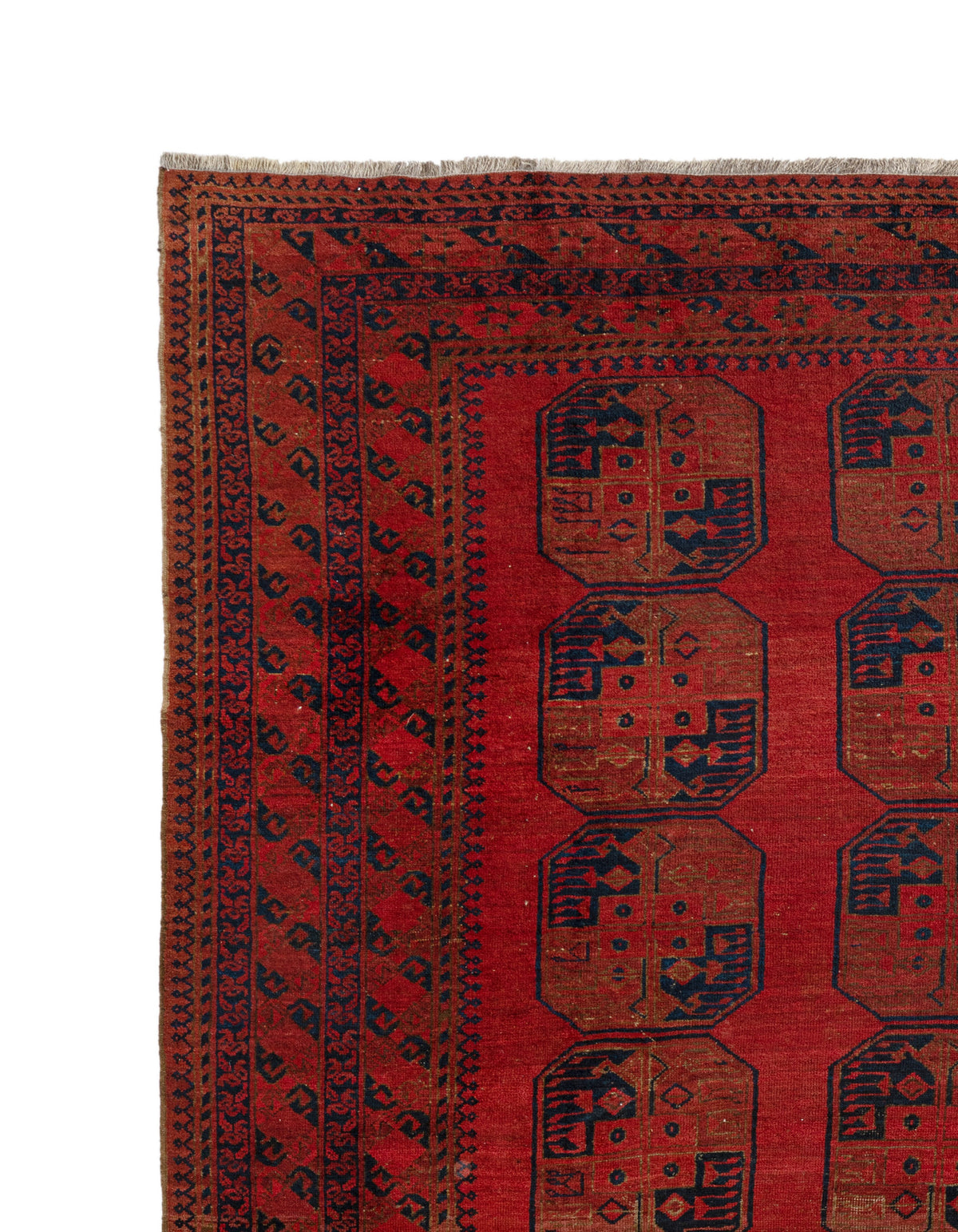 370x300 Afghan