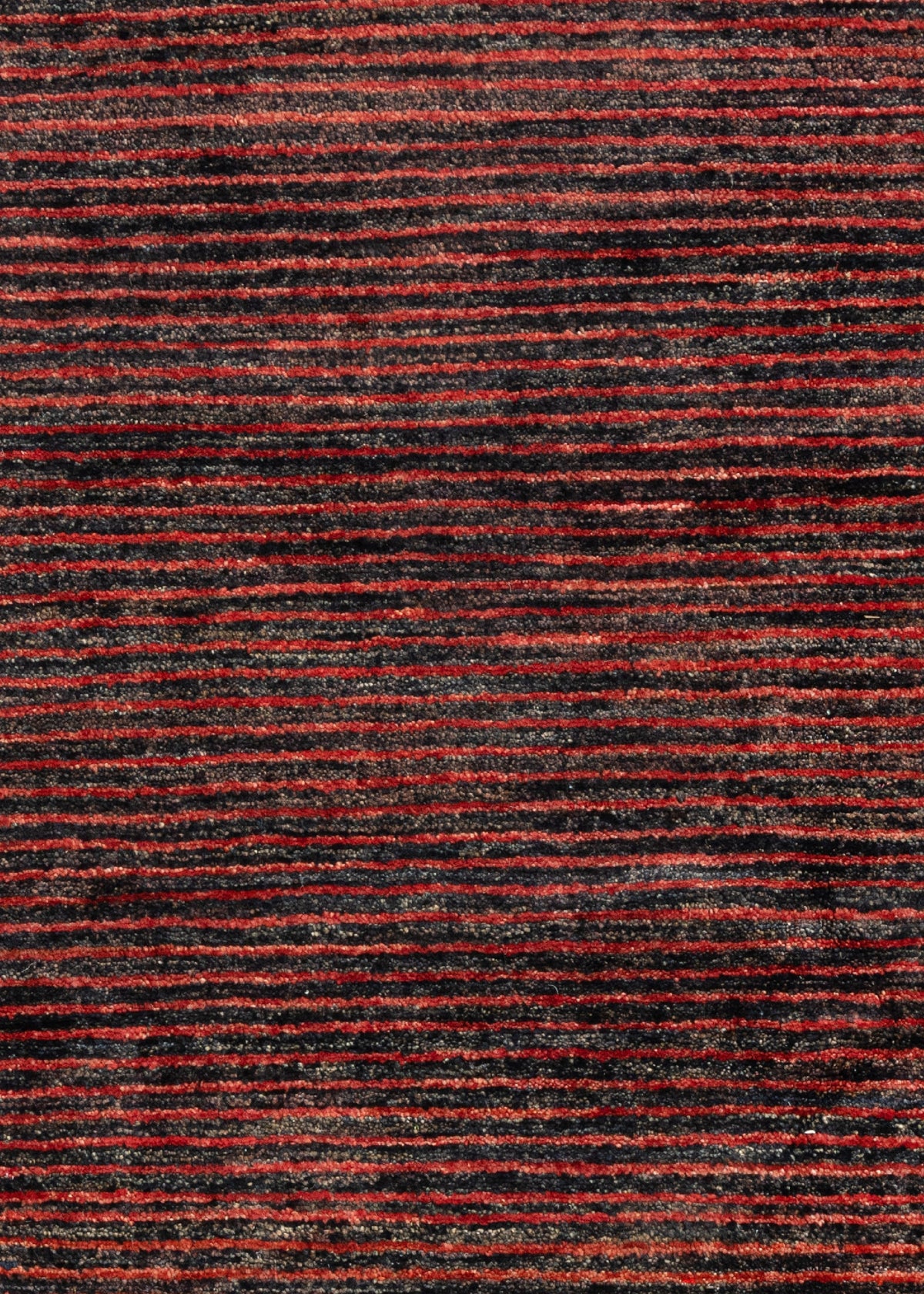 186x125 Tabiibaft