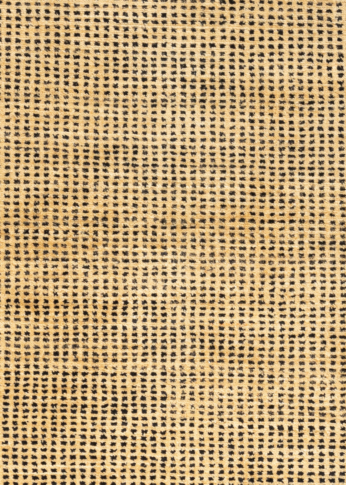 153 x 90  Tabiibaft
