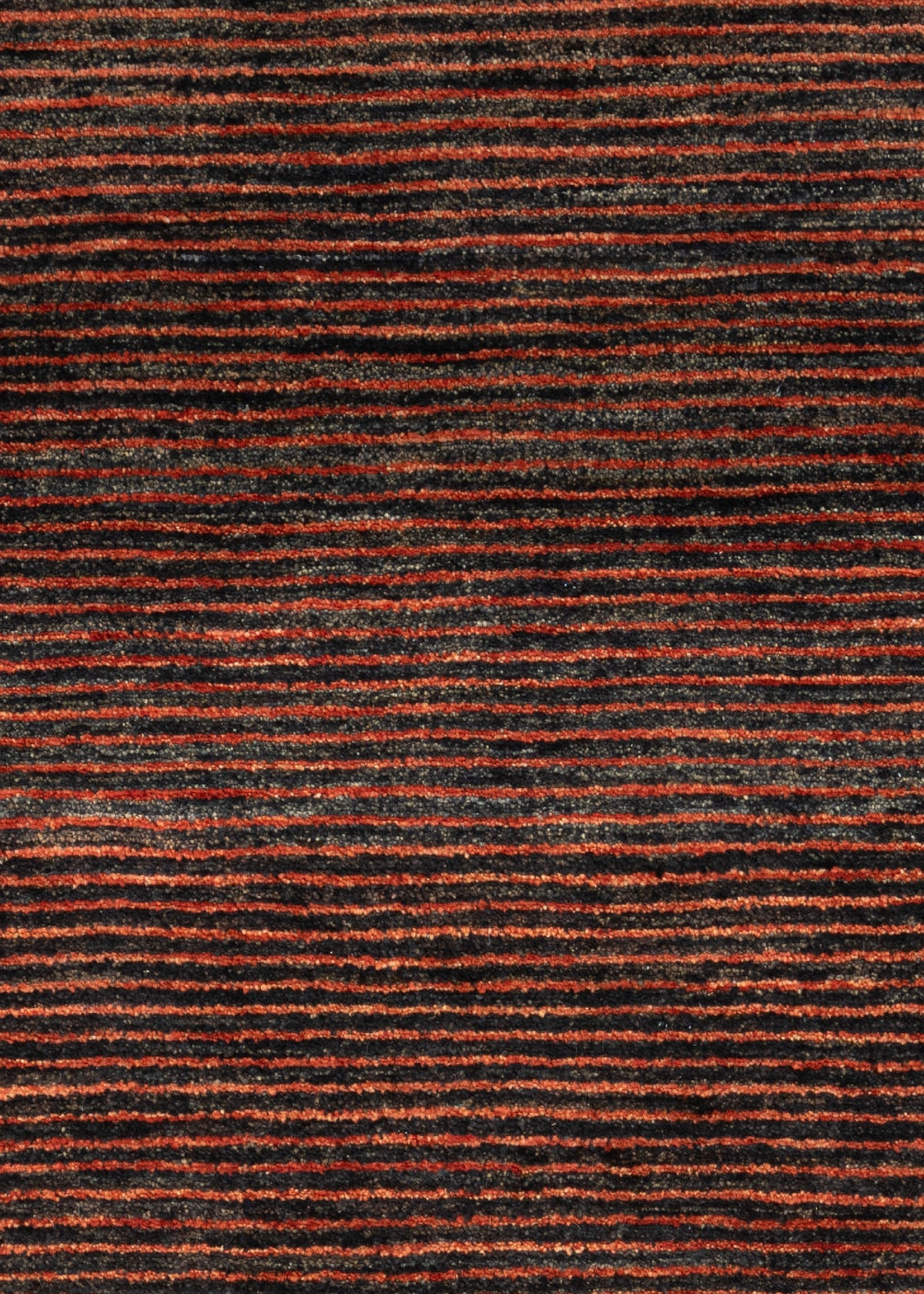 151x96 Tabiibaft