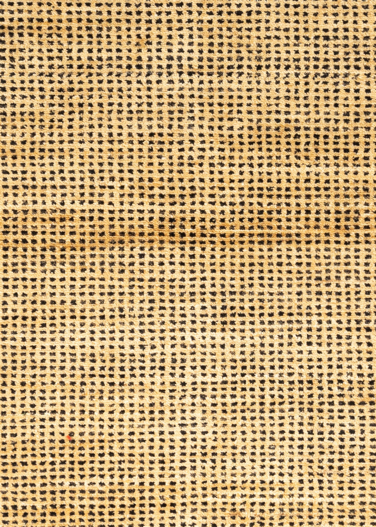 153 x 89  Tabiibaft