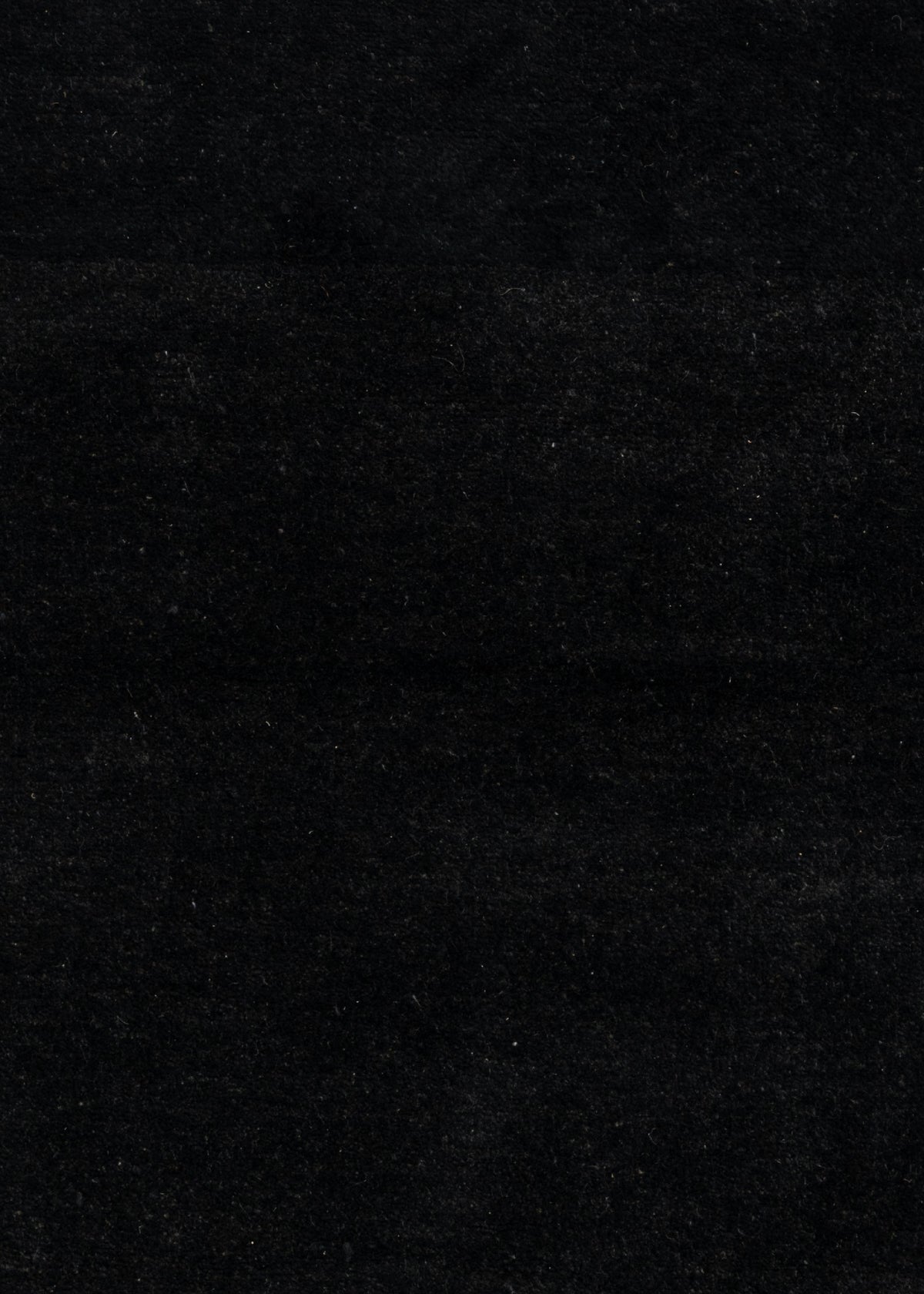 156 x 95  Tabiibaft