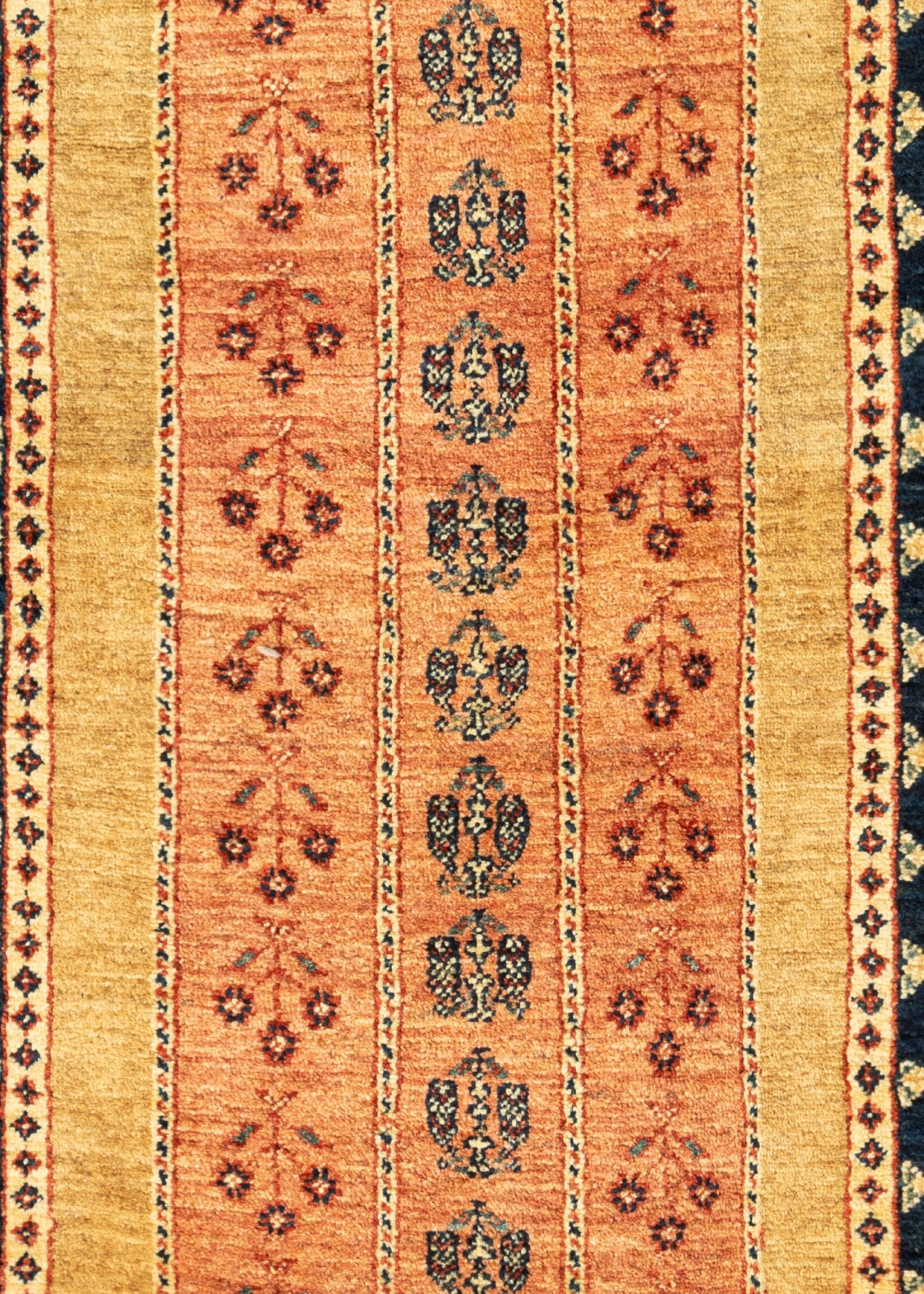 208 x 83 Kashkuli