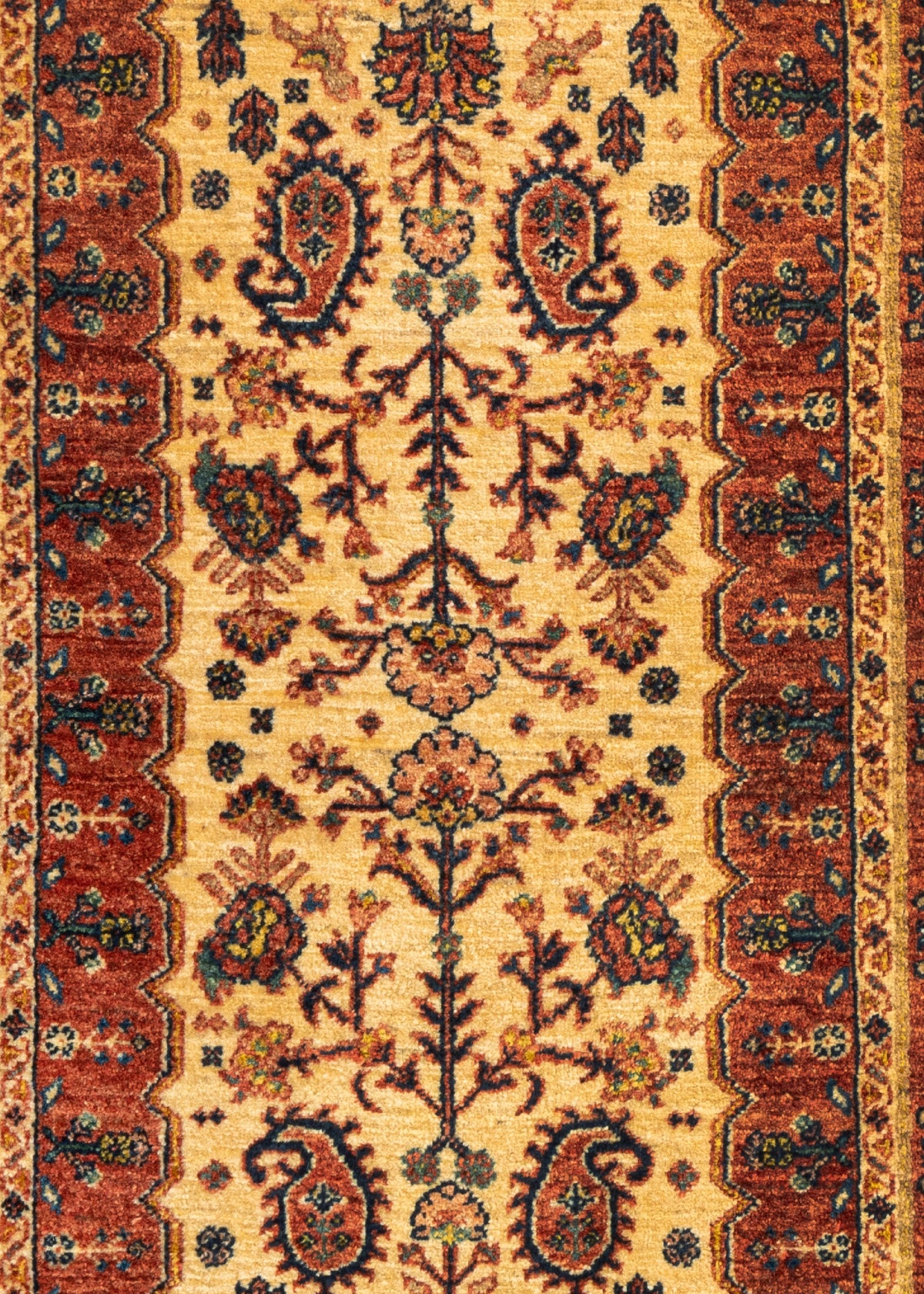 207 x 83 Kashkuli