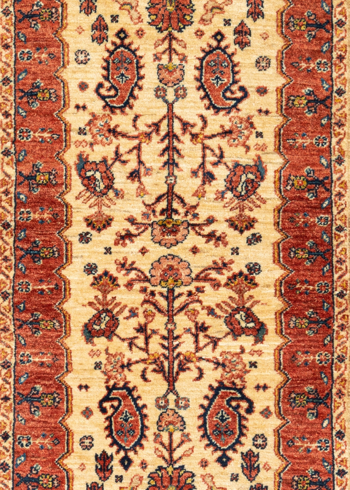 209 x 79 Kashkuli