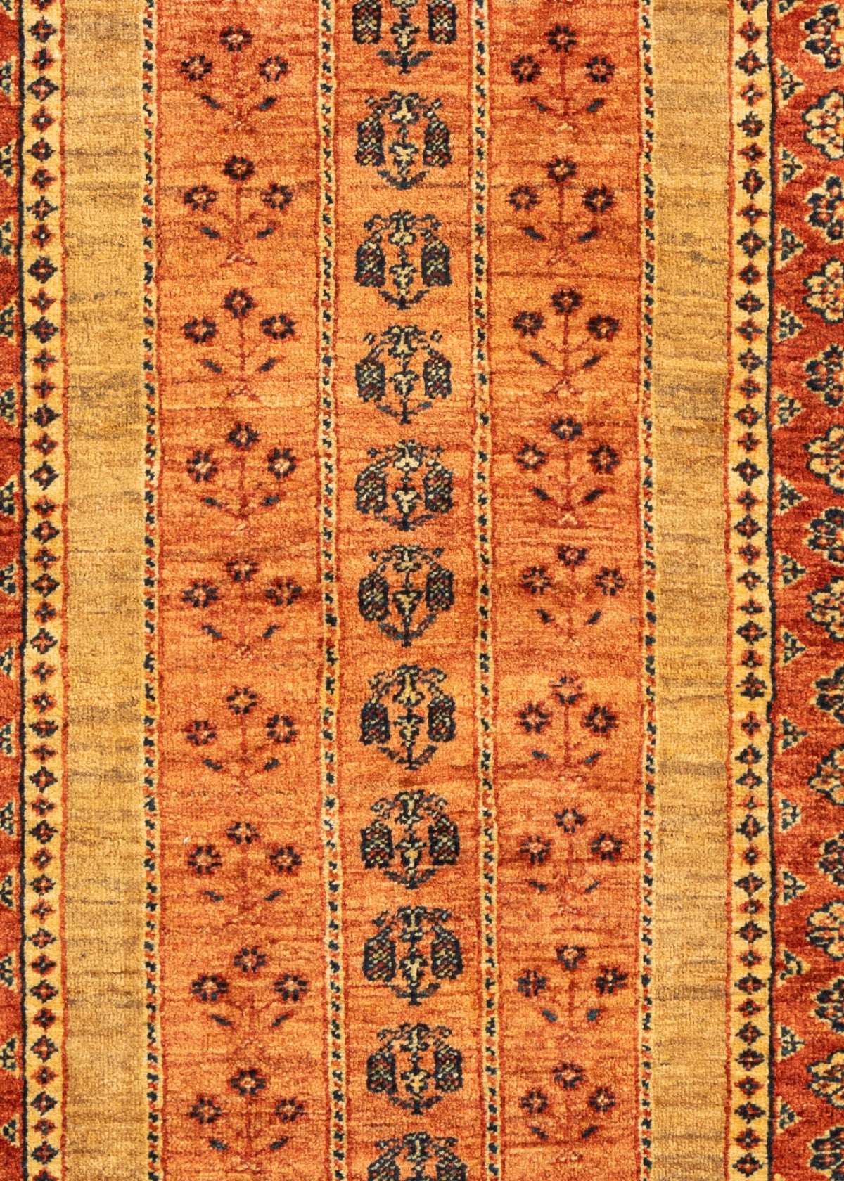 177x83 Kashkuli