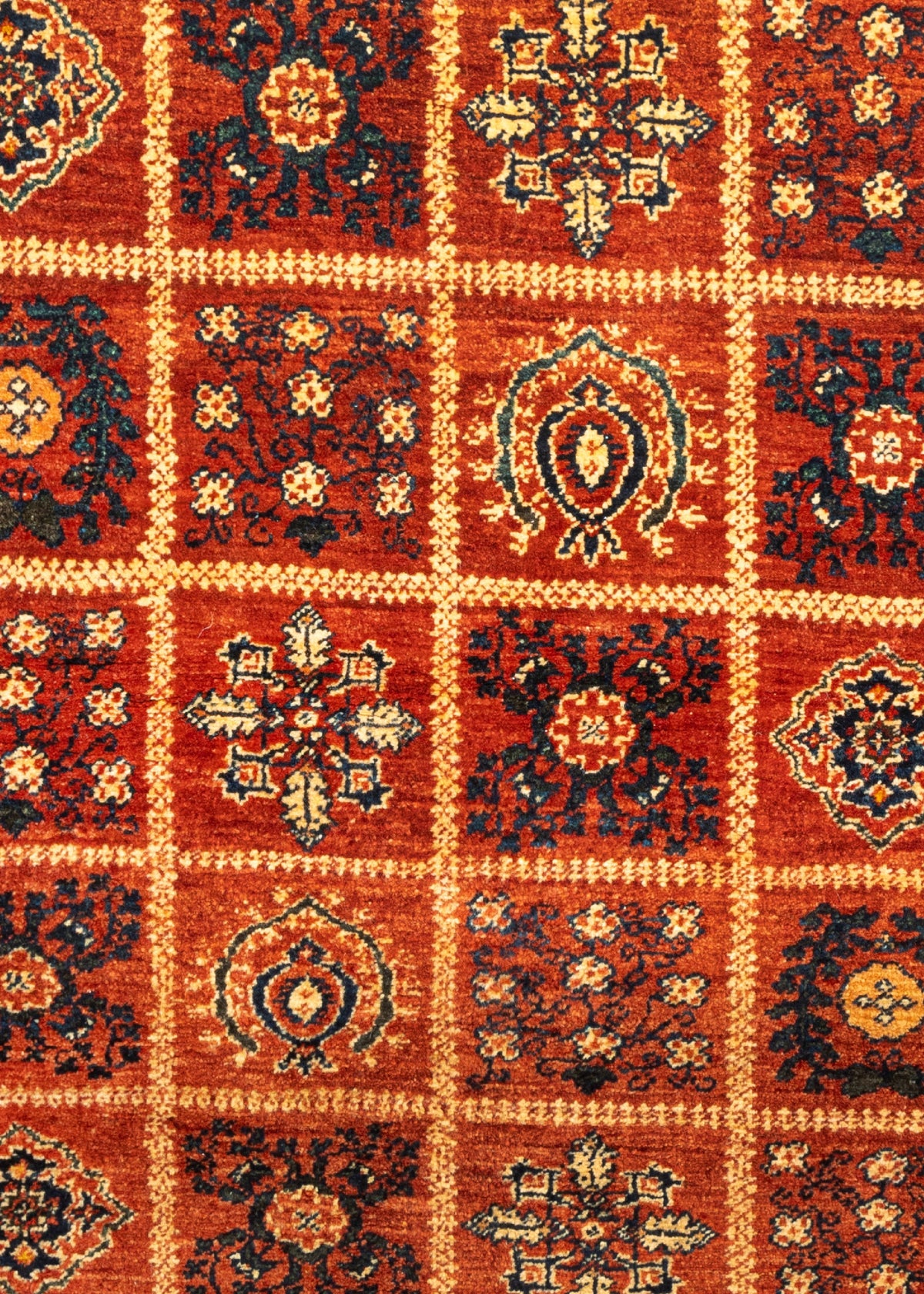 161 x 111 Kashkuli