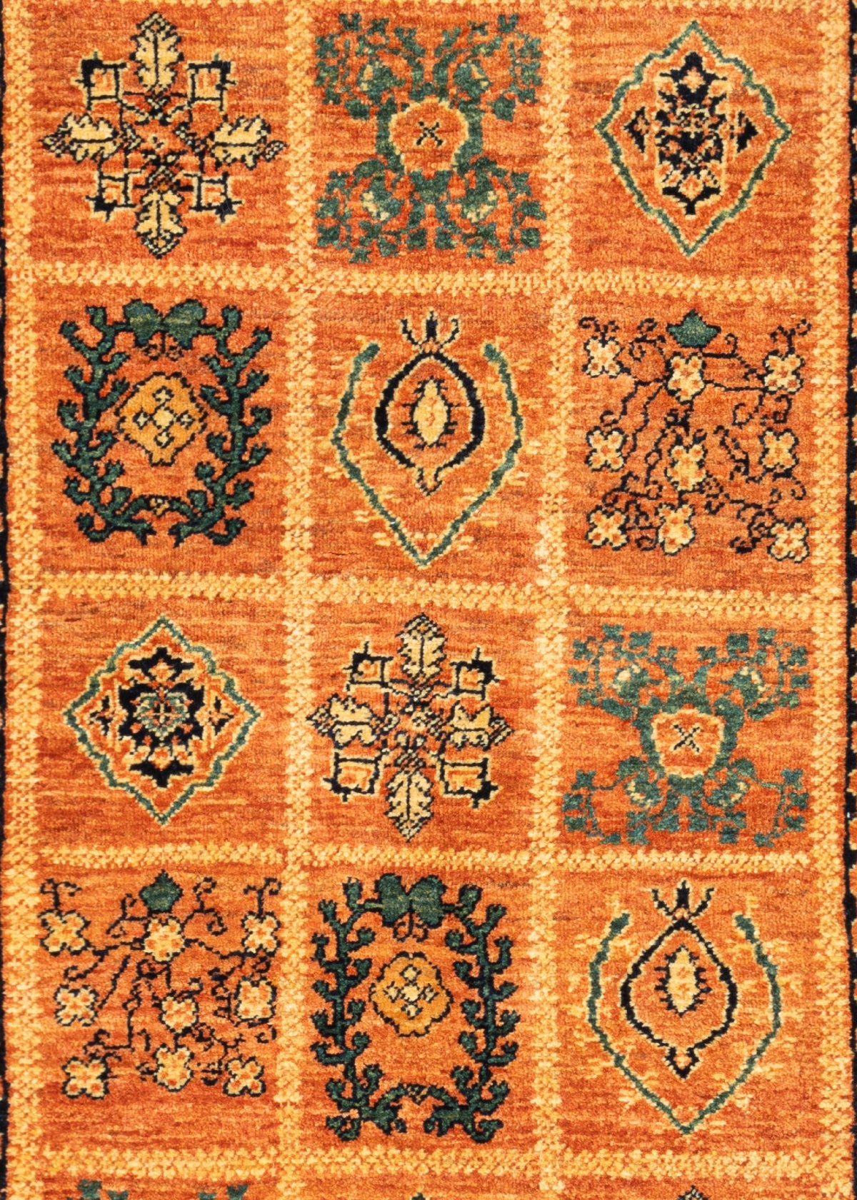 168 x 113 Kashkuli
