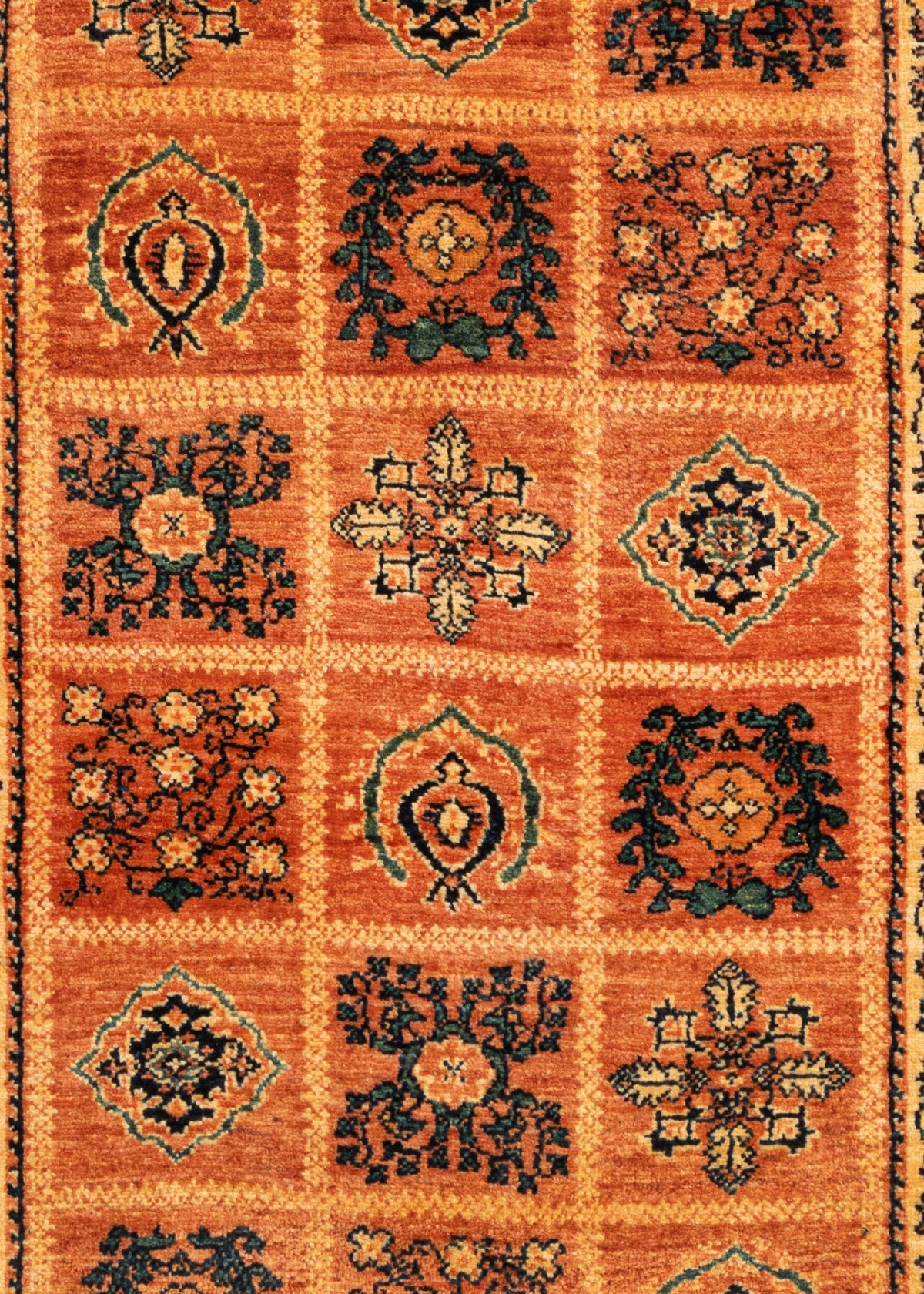 151 x 109 Kashkuli