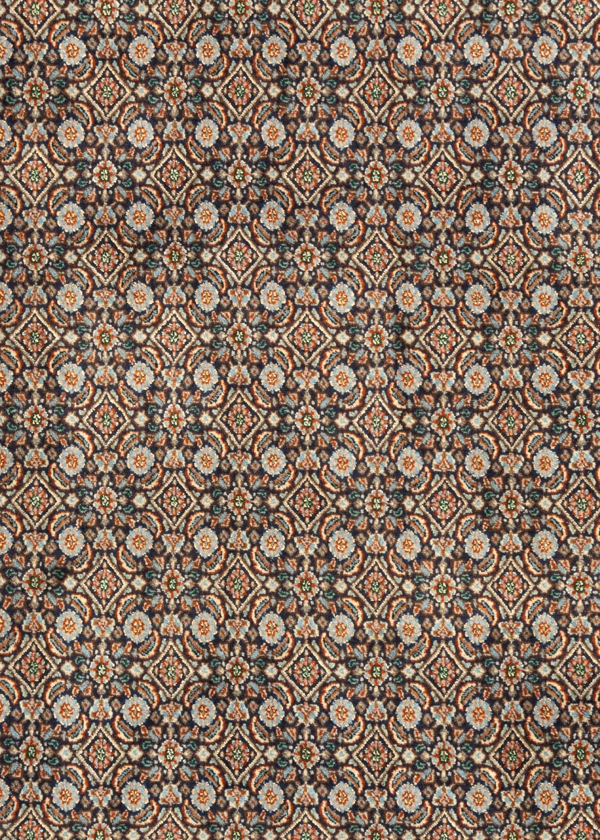 303 x 190 Moud
