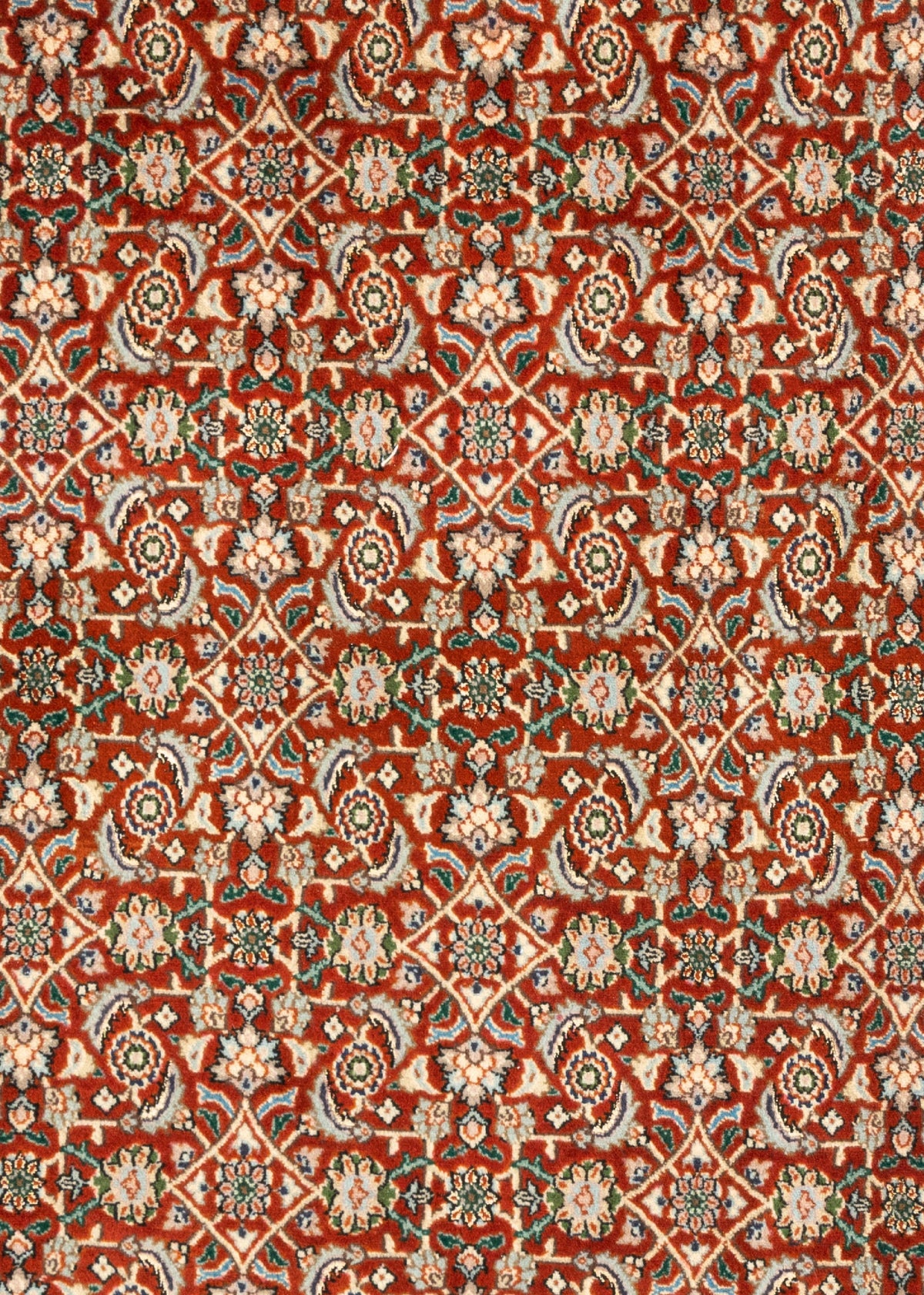 297 x 196 Moud