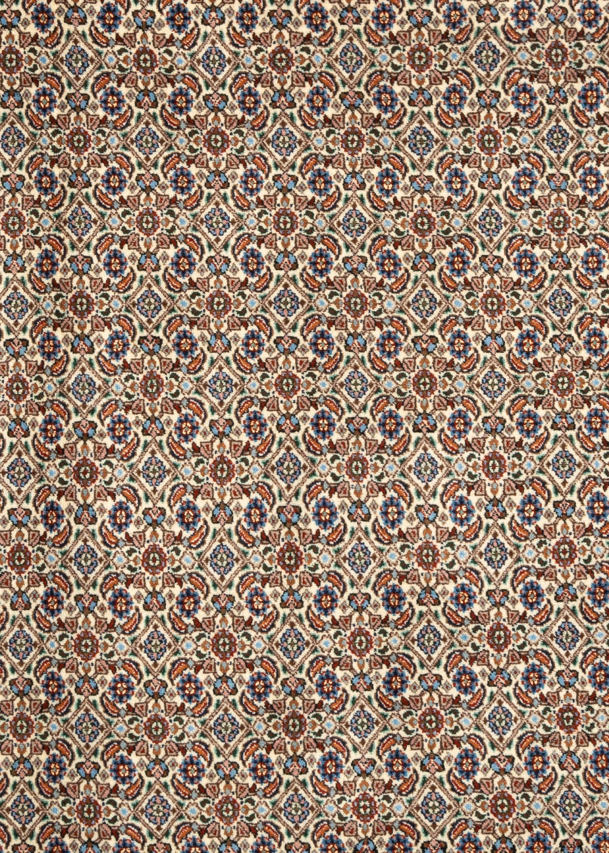 293 x 197 Moud