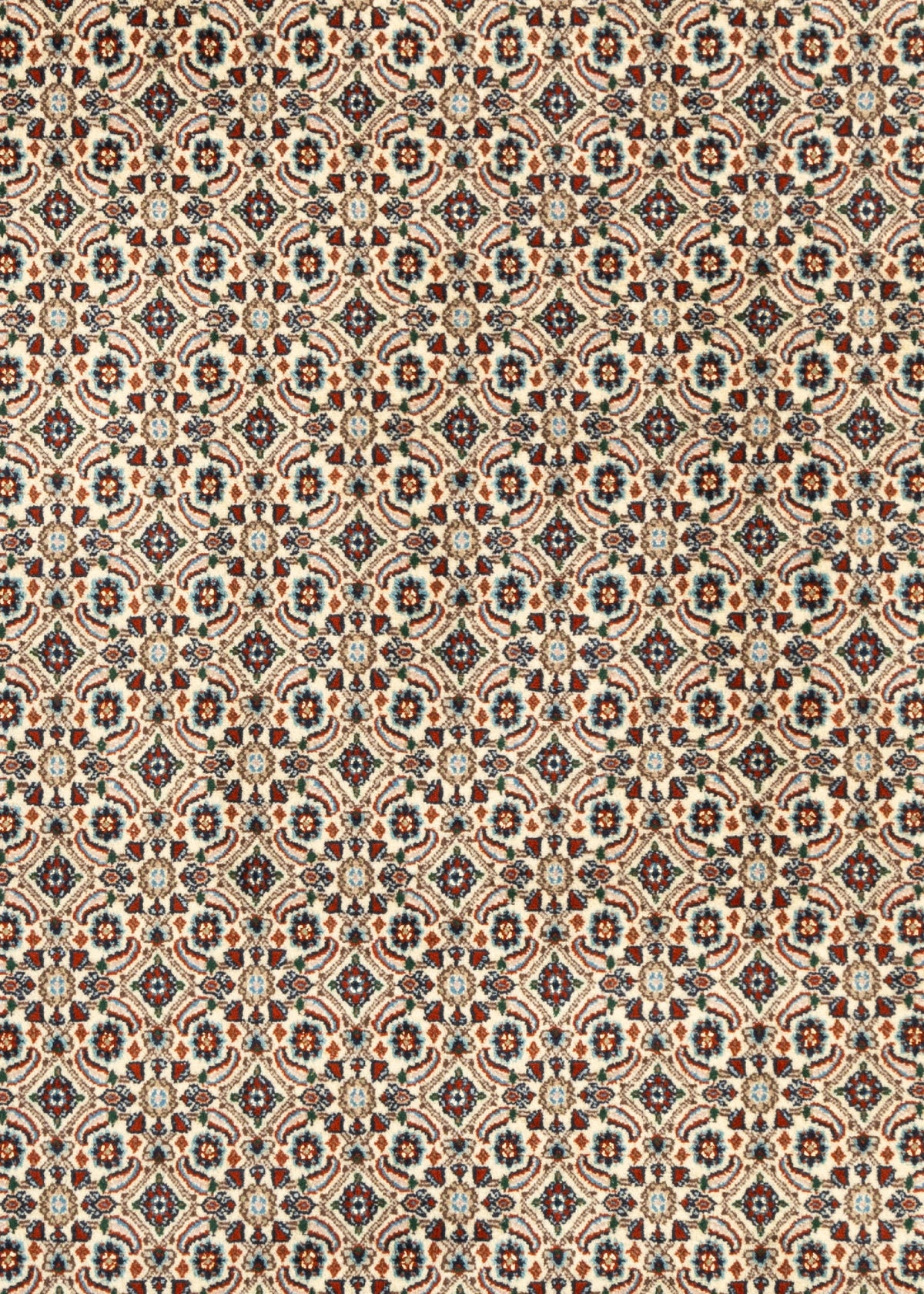 296 x 200 Moud