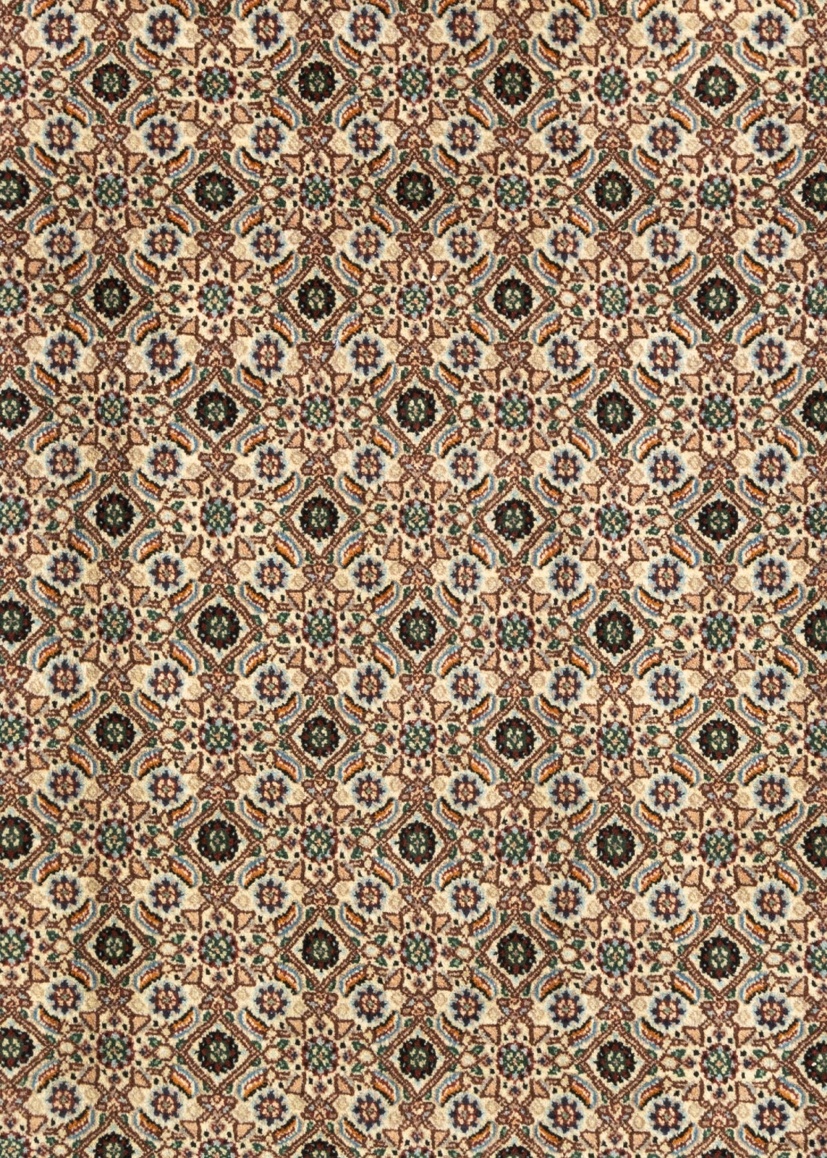 296x200 Moud