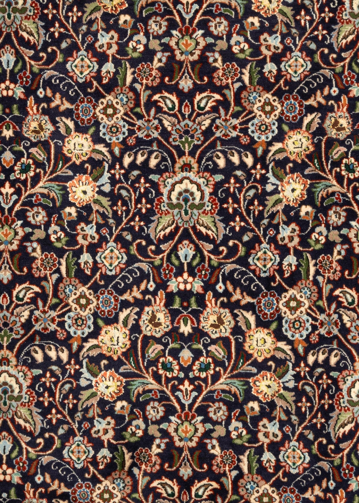 295 x 196 Moud