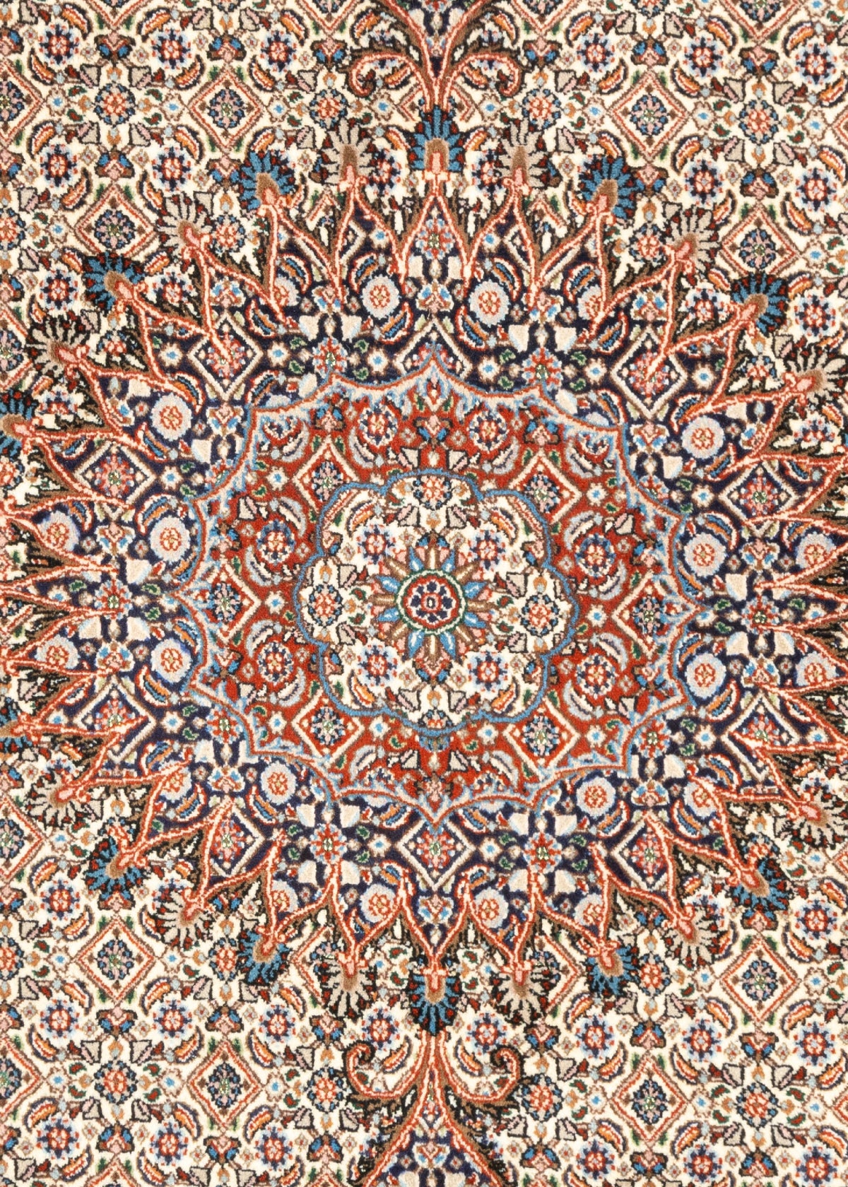 296x207 Moud