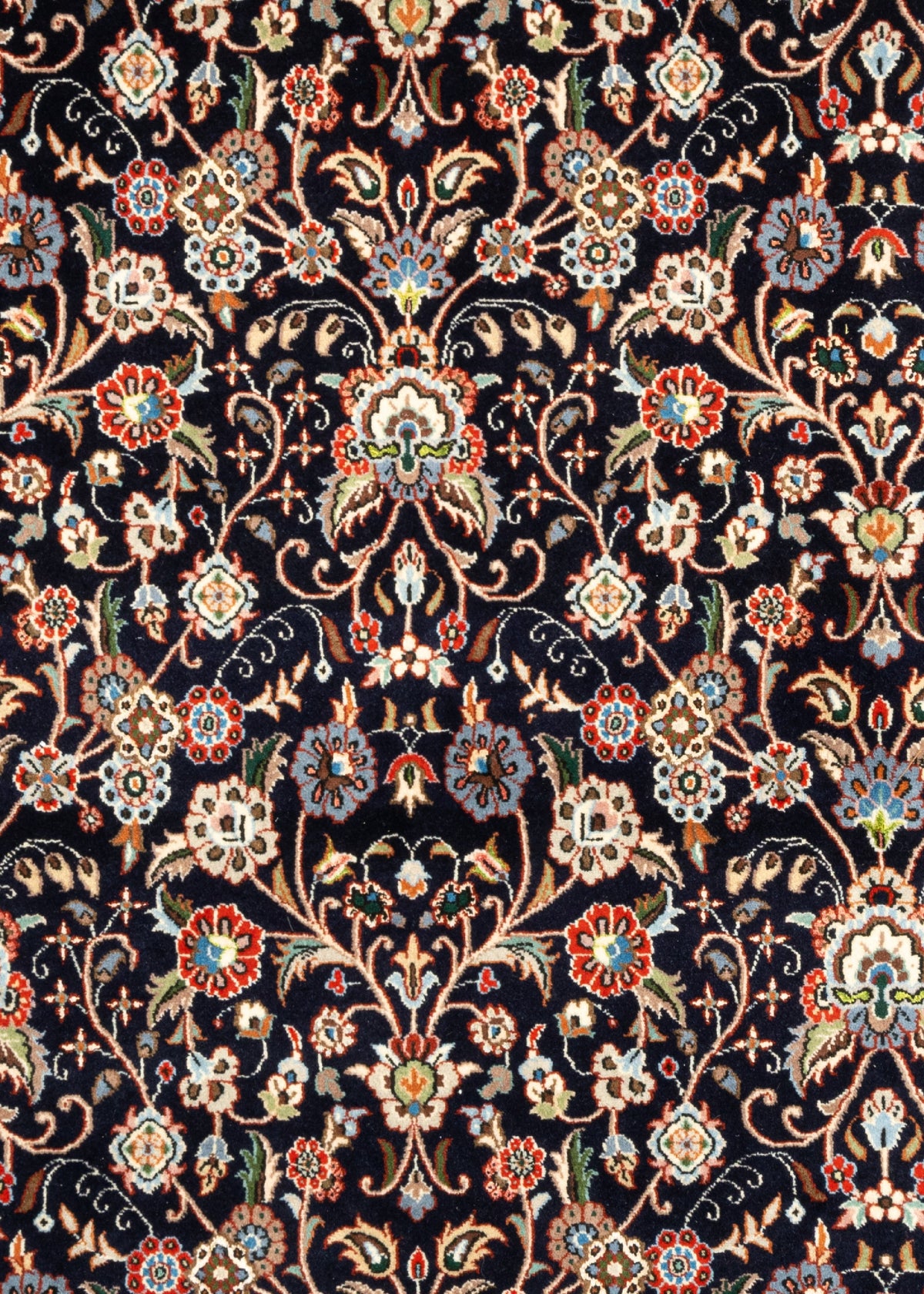293 x 197 Moud