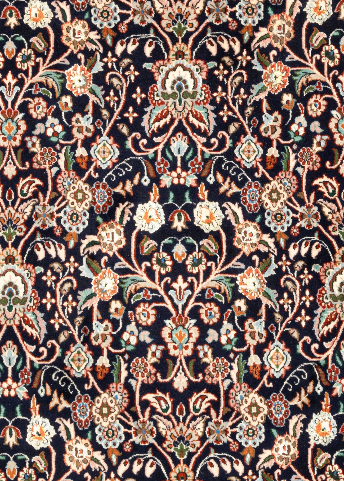 291x198 Moud