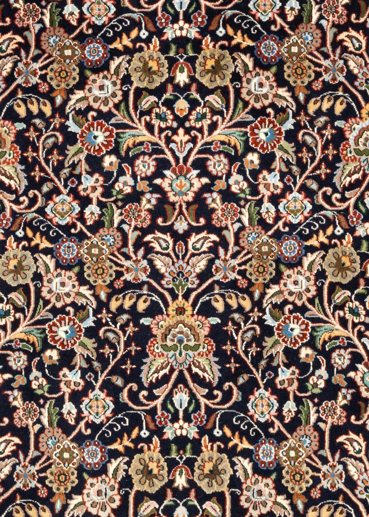 295 x 206 Moud