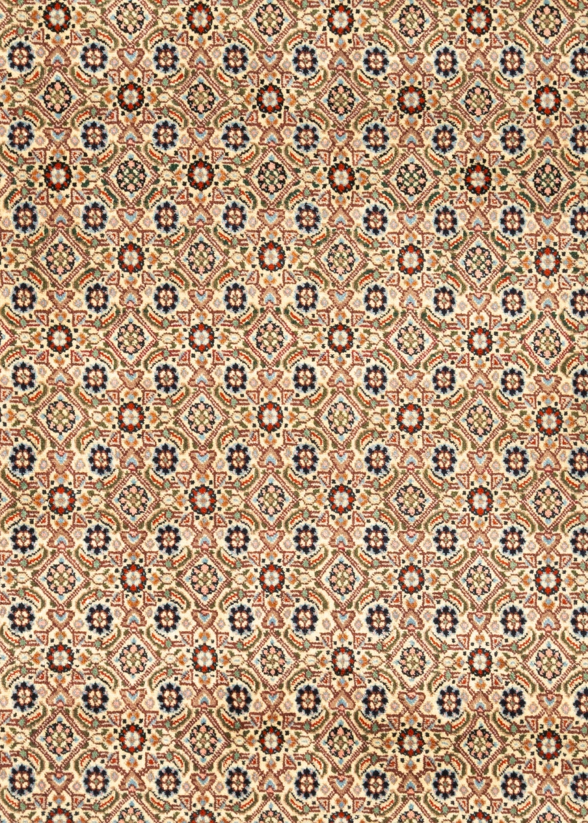 290x203 Moud