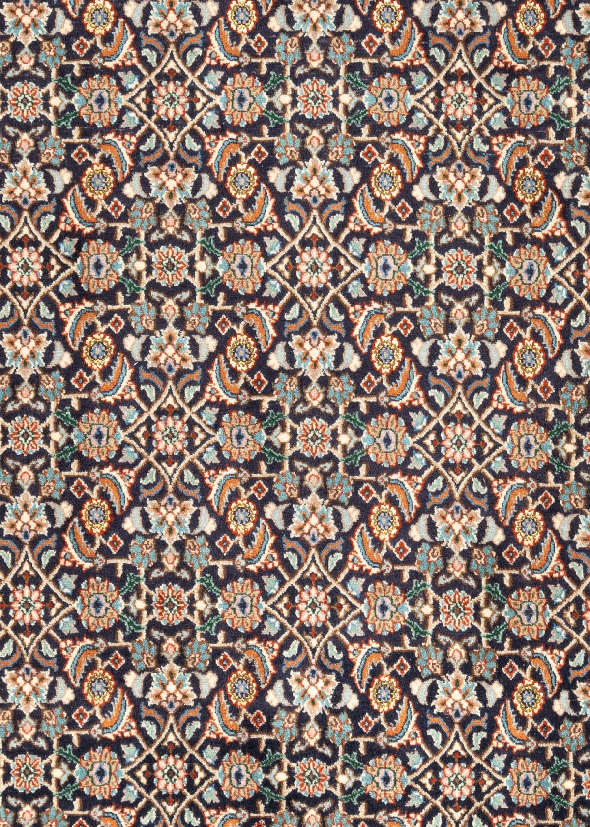 292x205 Moud