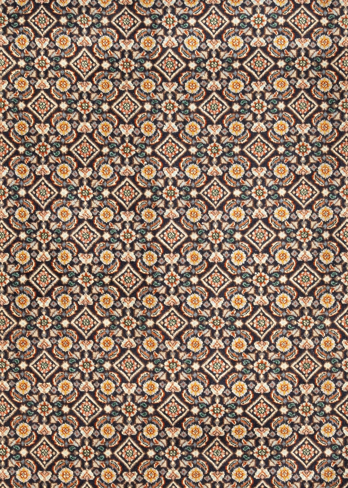 292x203 Moud