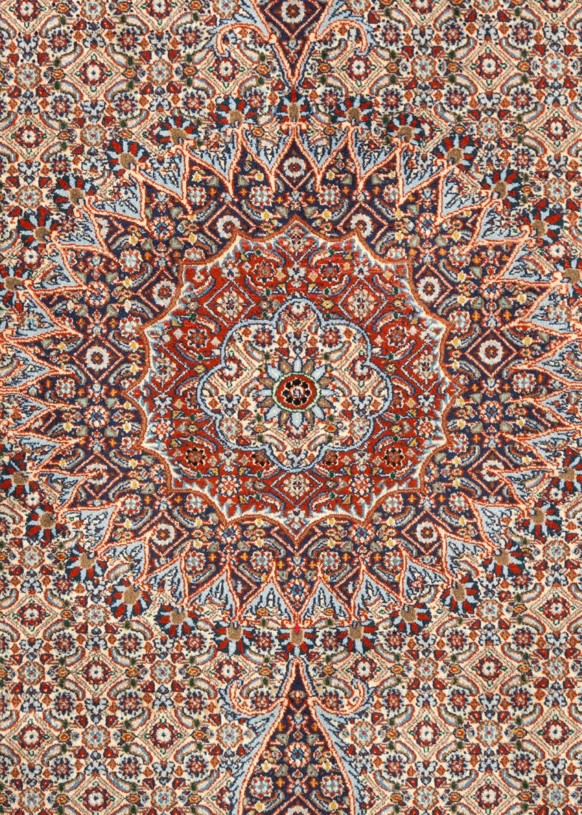 290x202 Moud