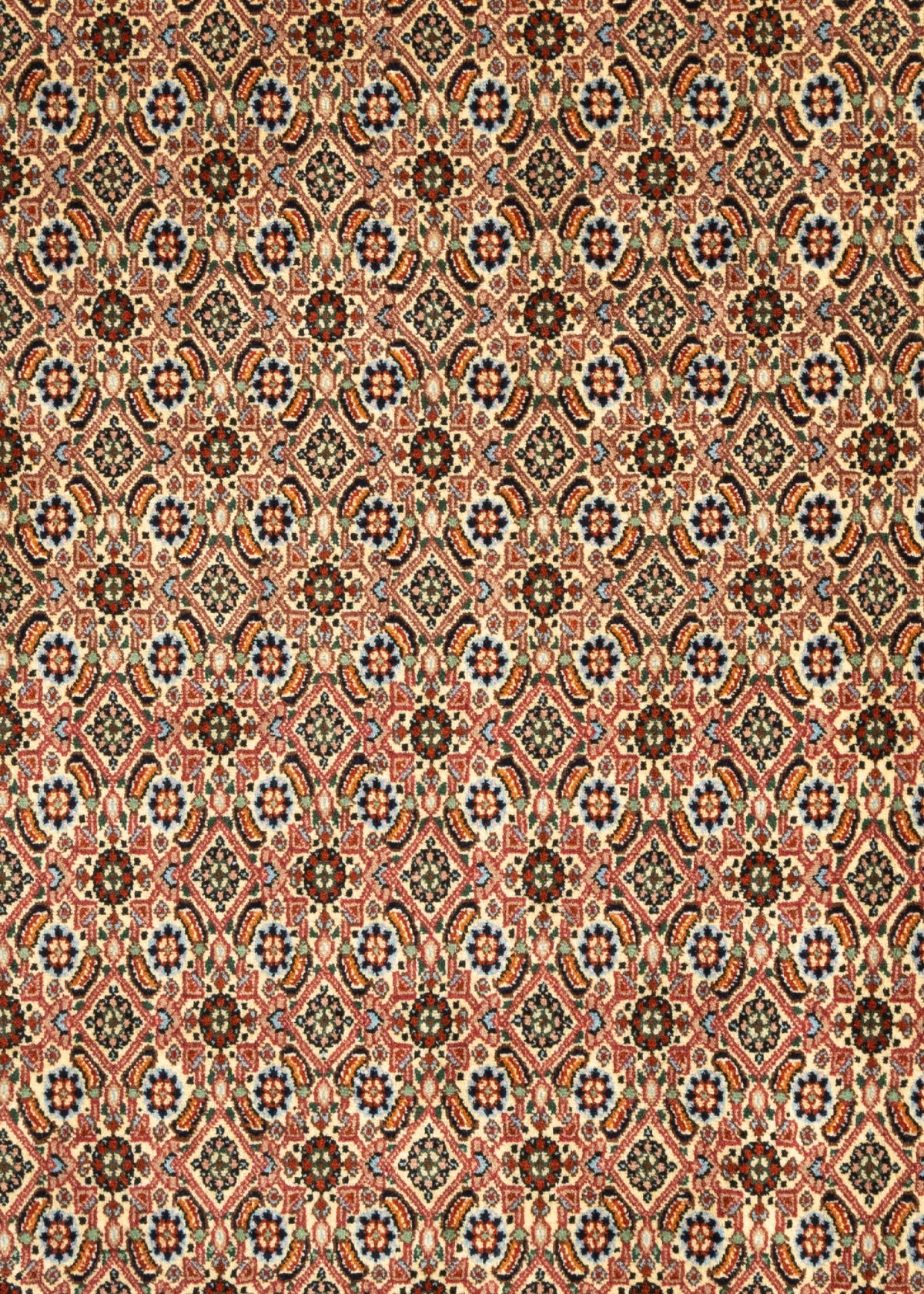 302x195 Moud