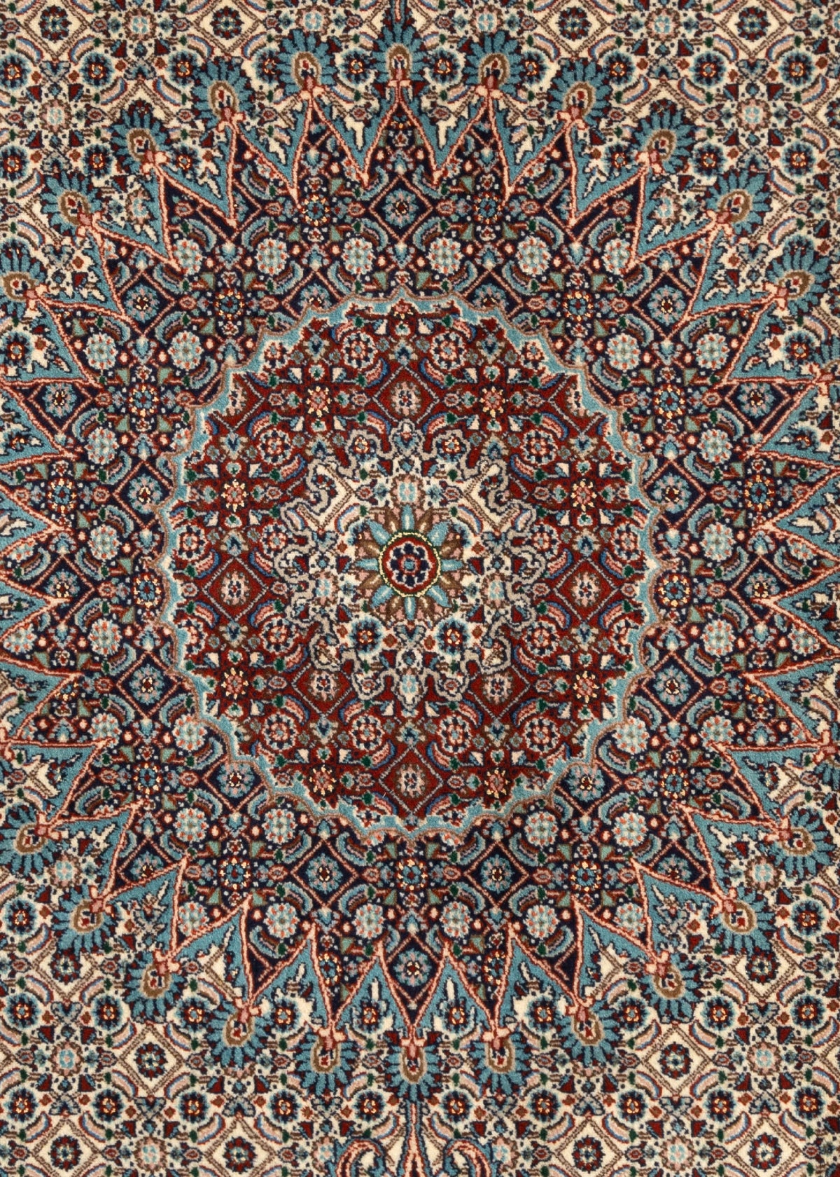 285 x 216 Moud