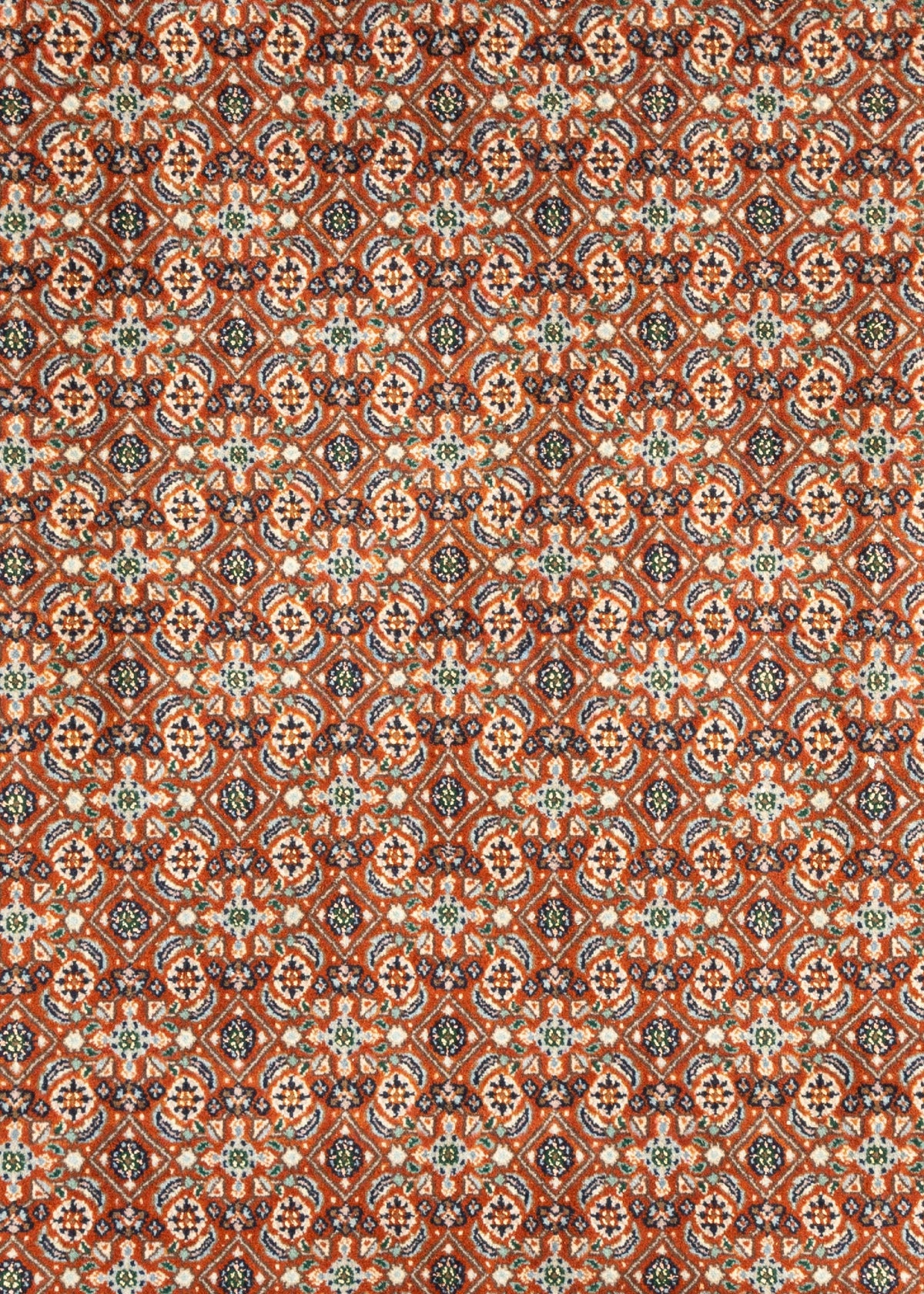 294 x 200  Moud