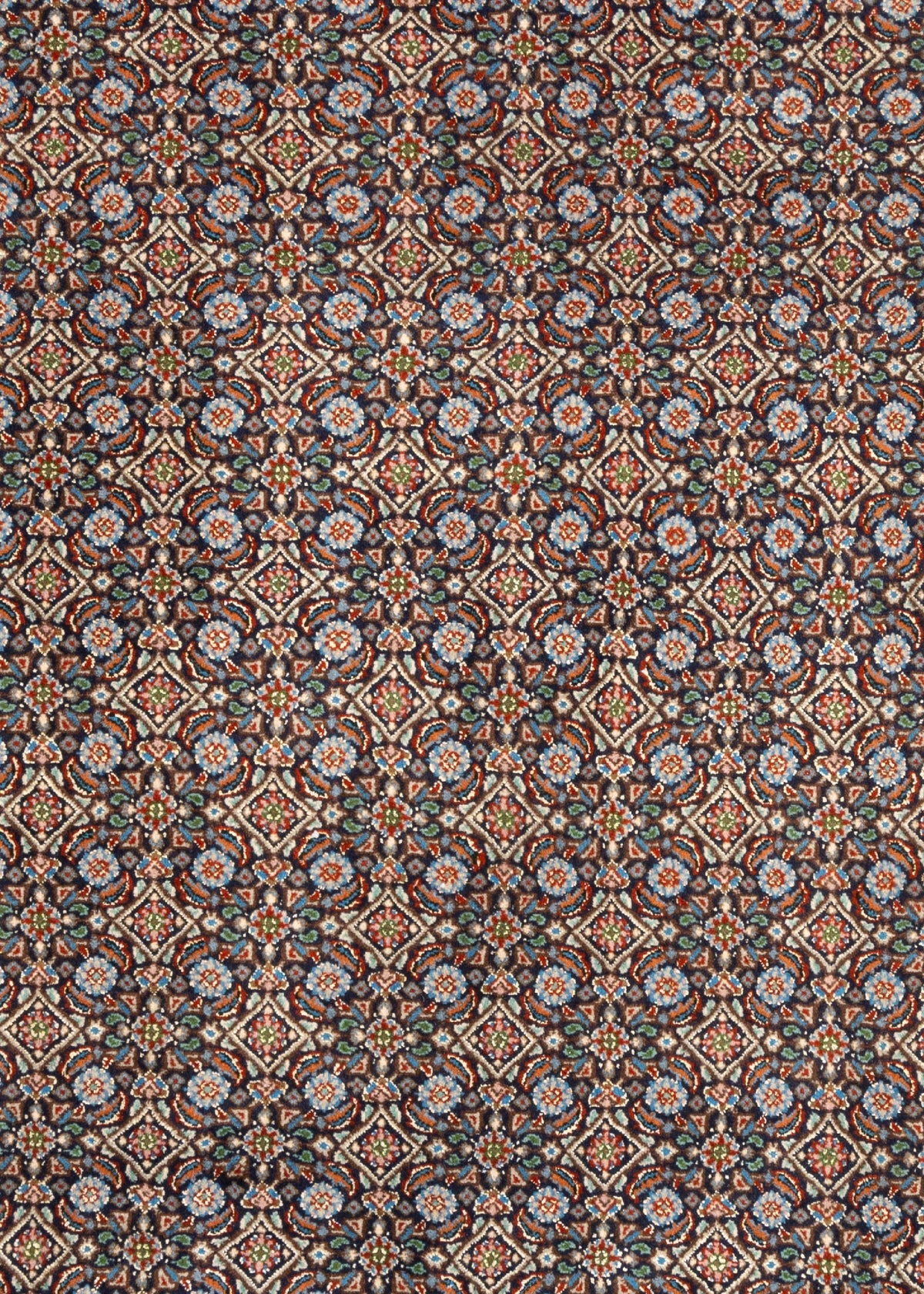 299 x 200  Moud