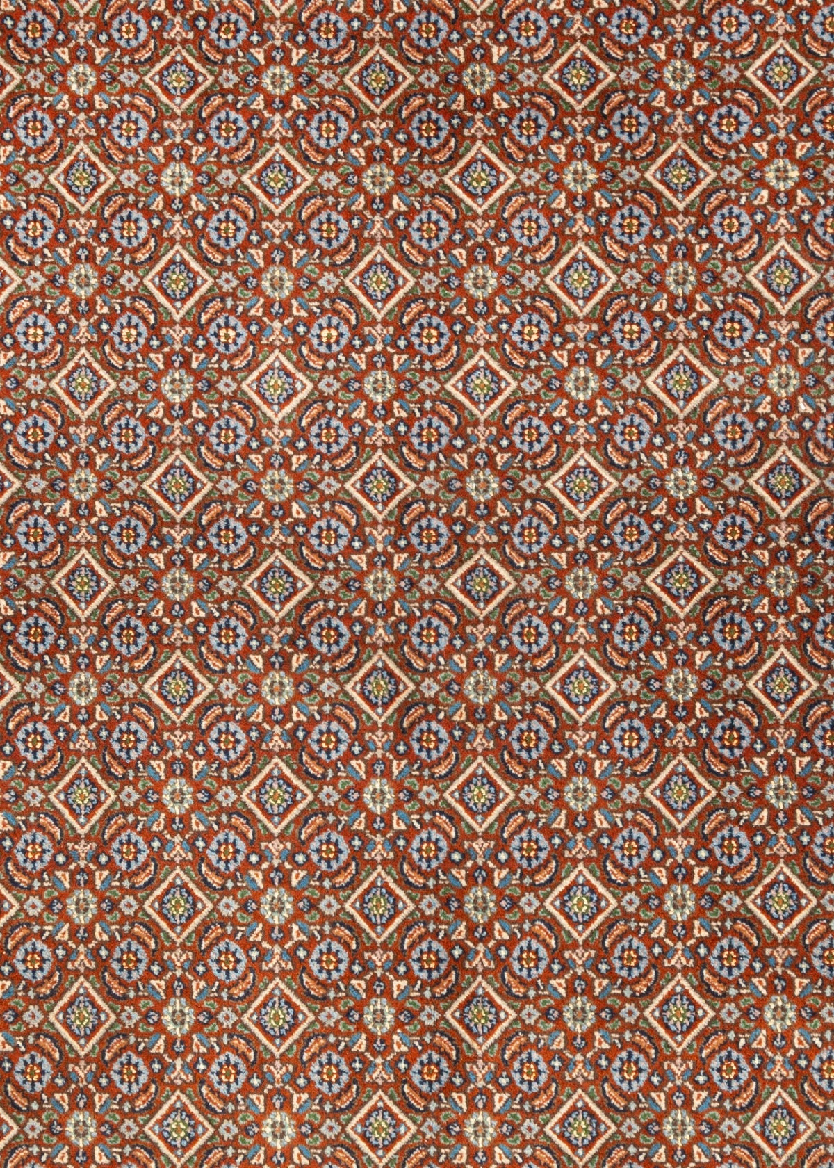290x196 Moud