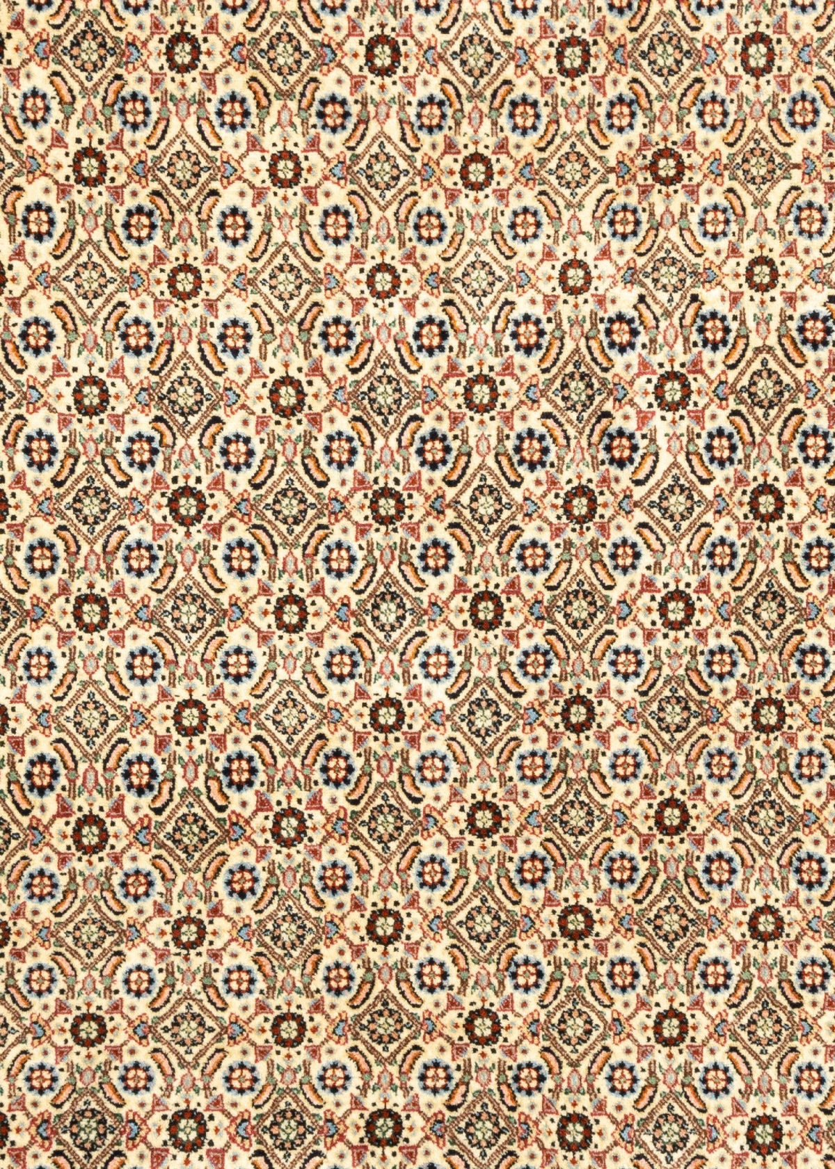 282 x 200  Moud