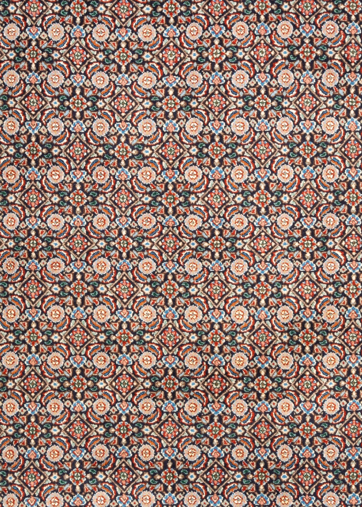 297 x 203  Moud