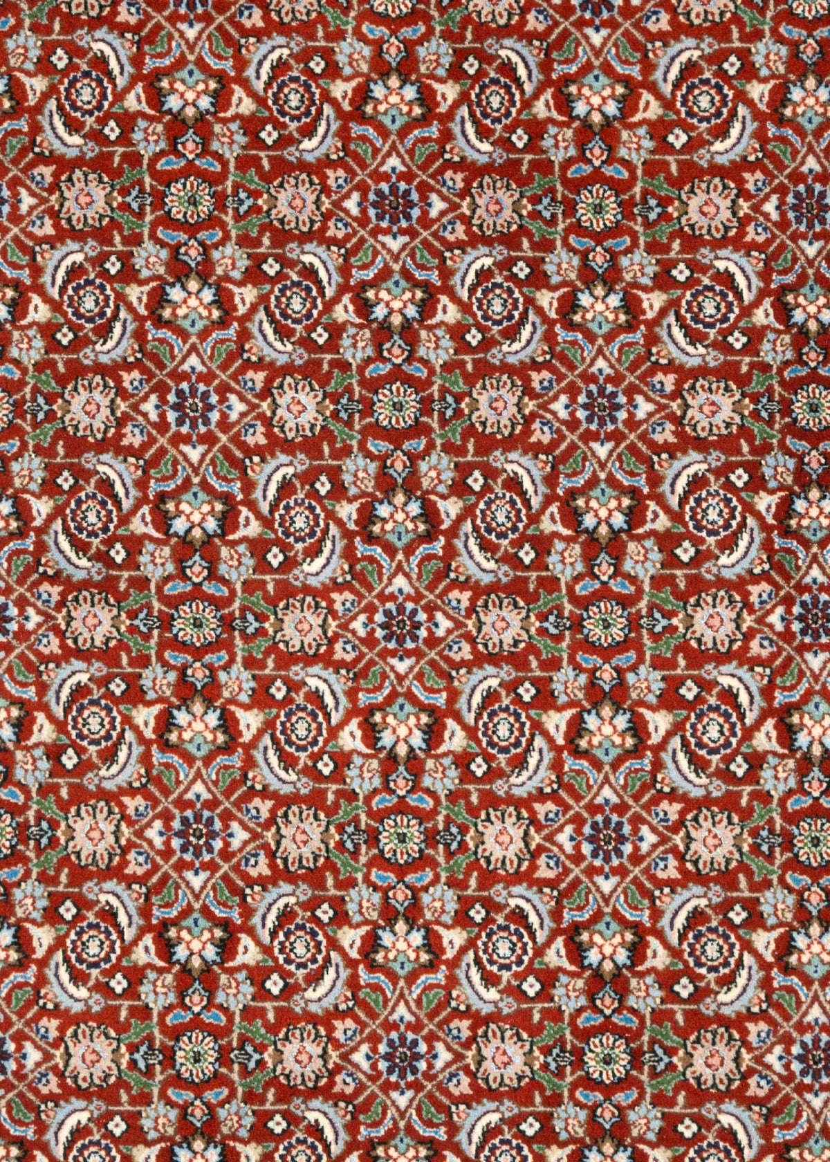 292 x 187  Moud