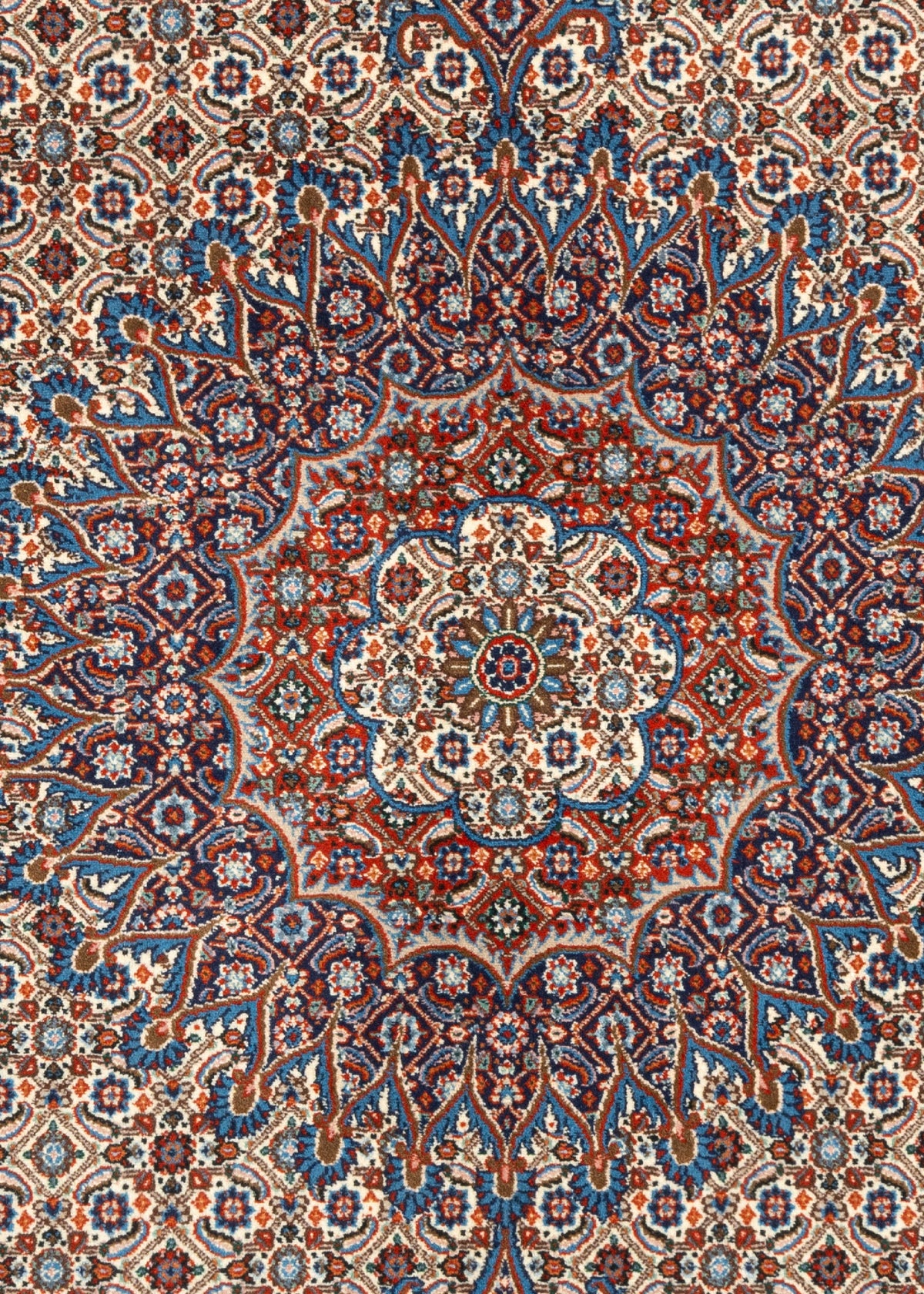 281 x 202 Moud