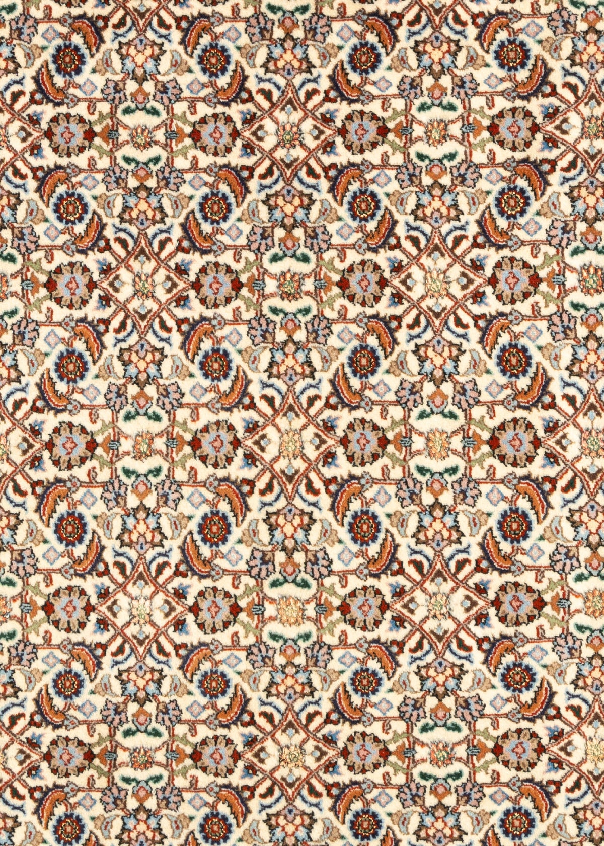 309 x 204 Moud