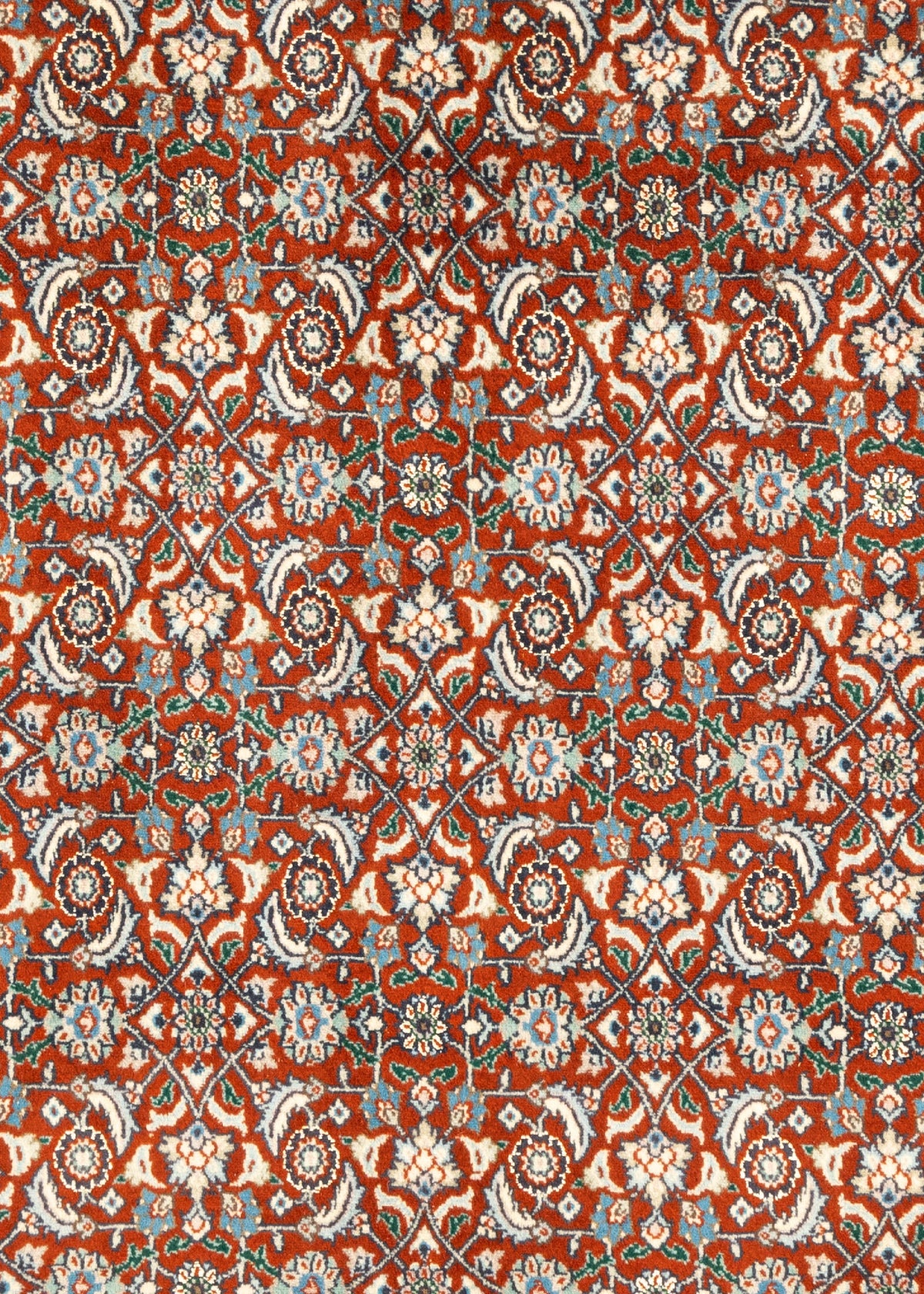 284 x 206 Moud