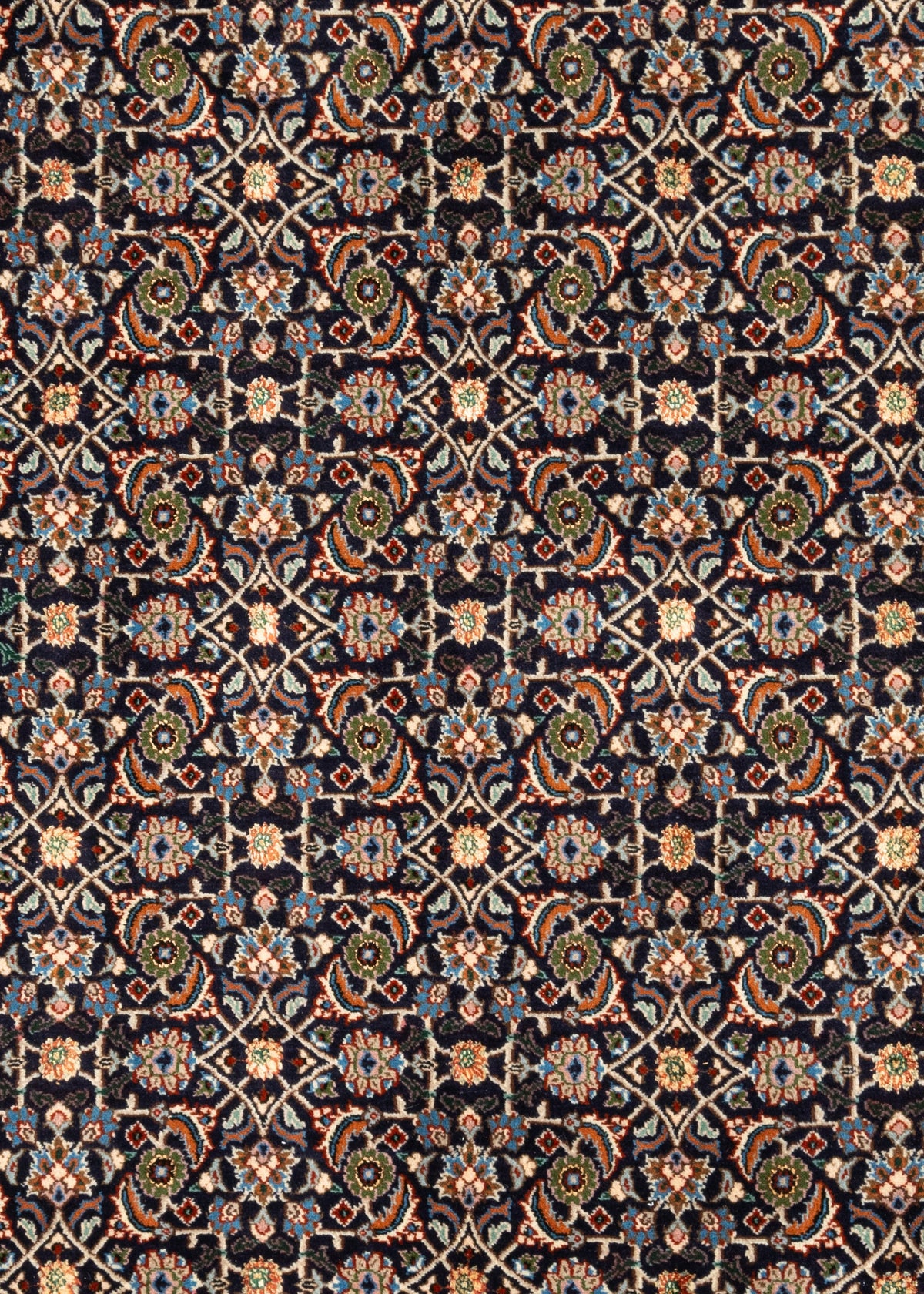 304 x 206 Moud