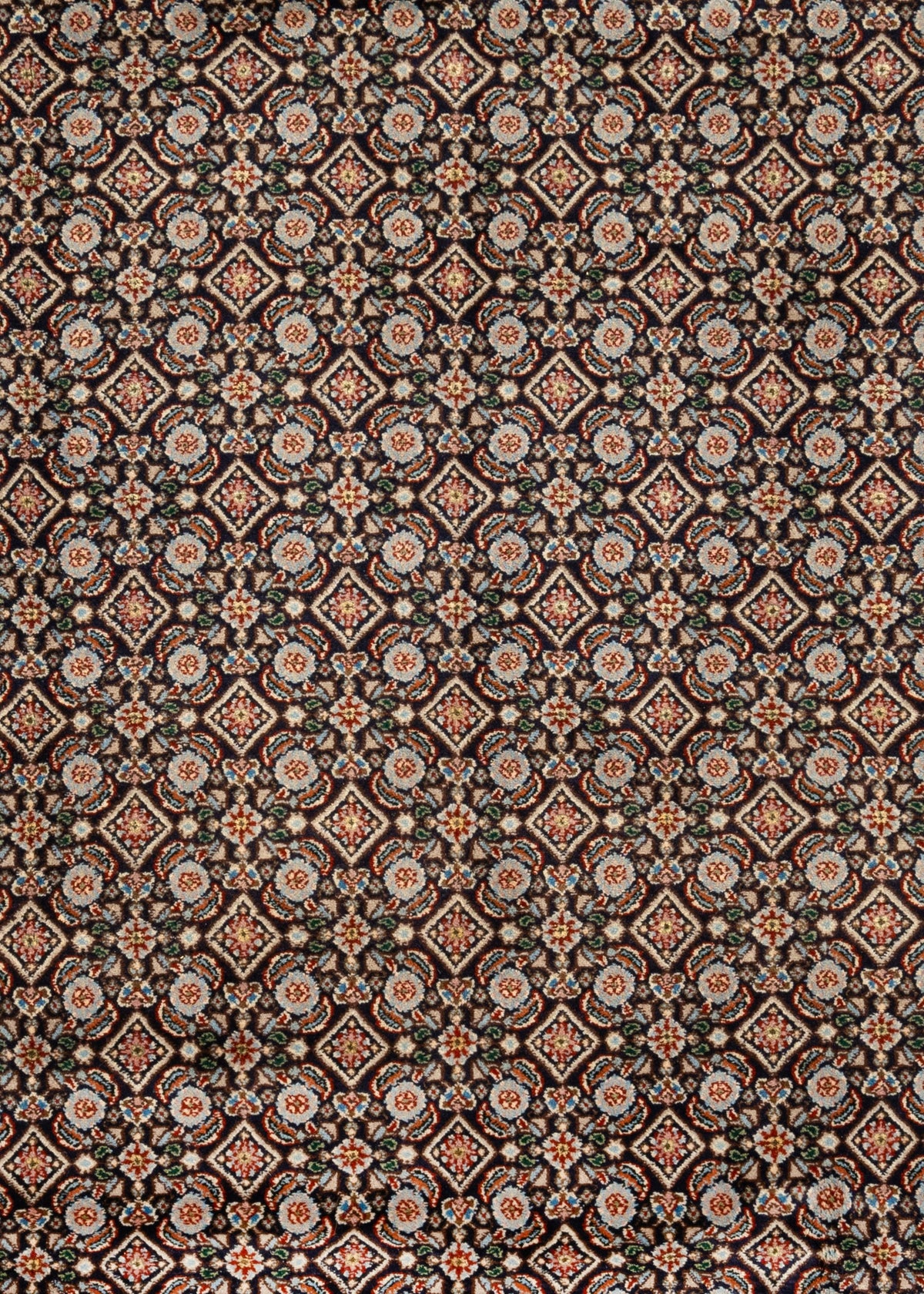 295x209 Moud