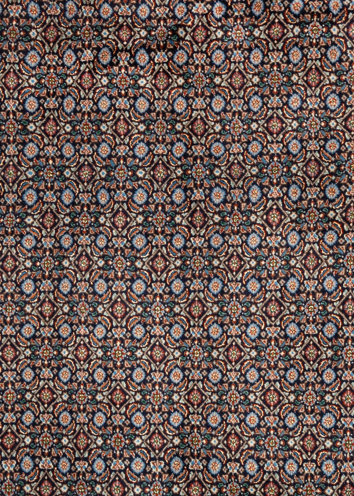 294x199 Moud