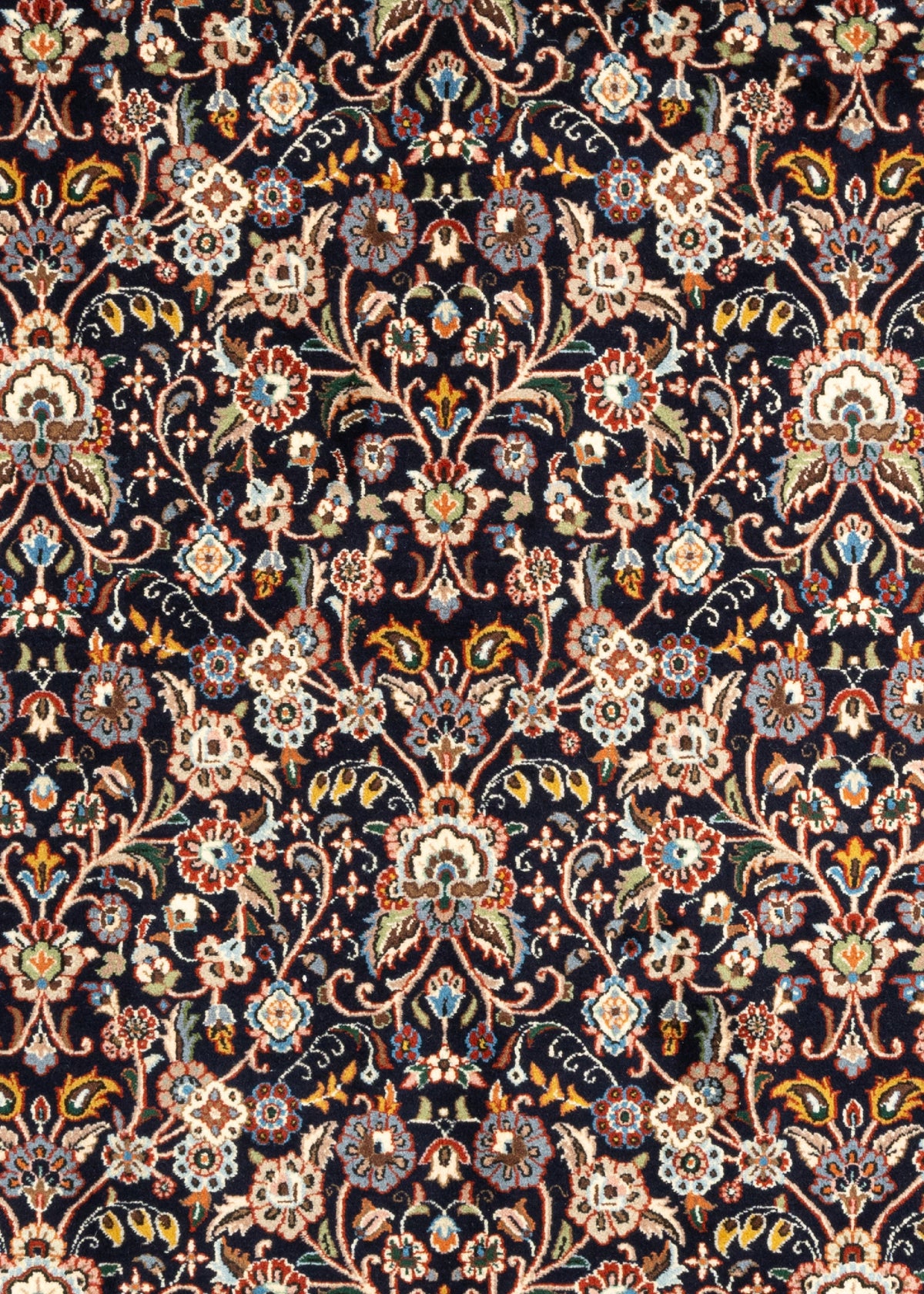 282 x 197 Moud